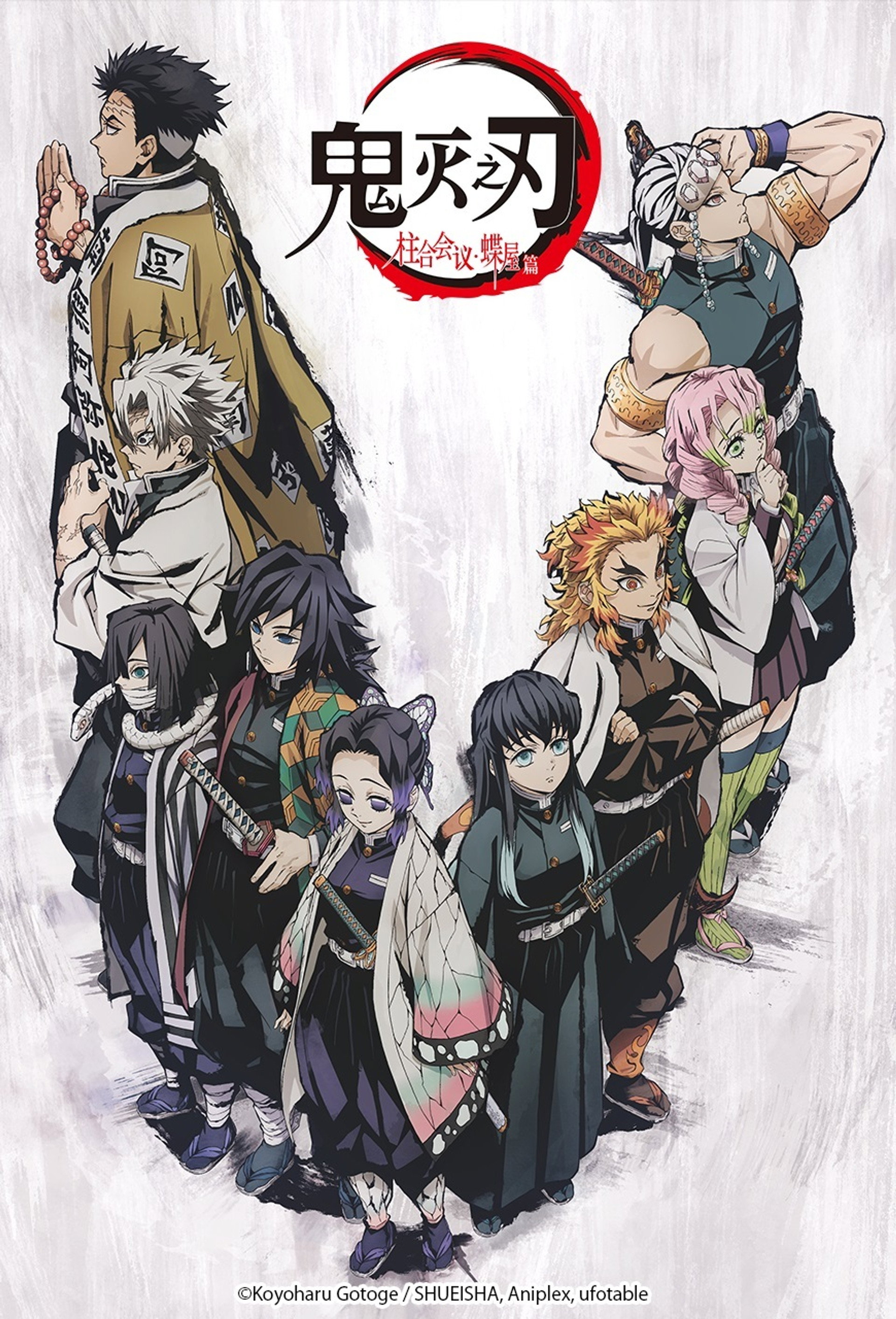 鬼灭之刃：柱合会议・蝶屋敷篇