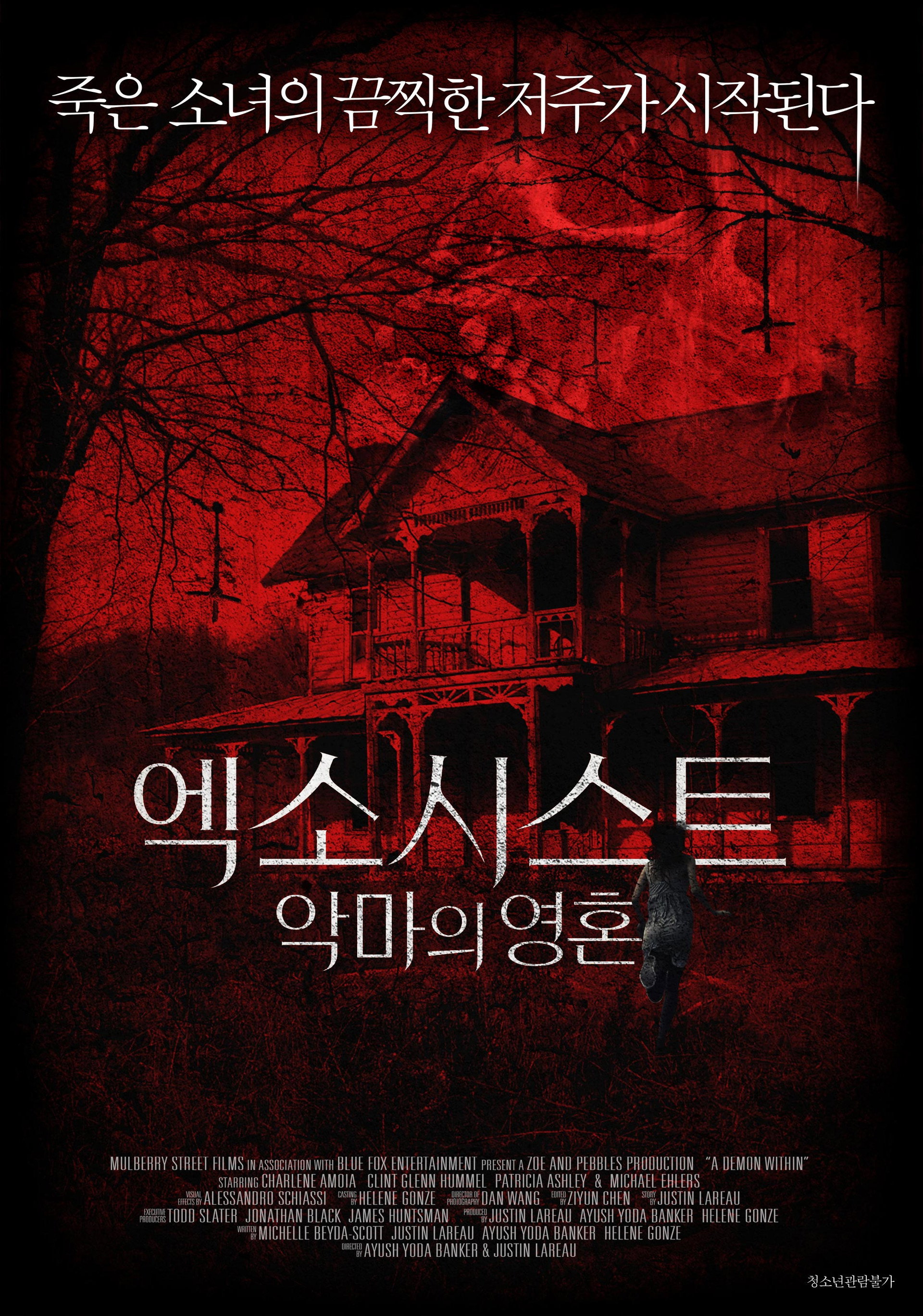 엑소시스트: 악마의 영혼