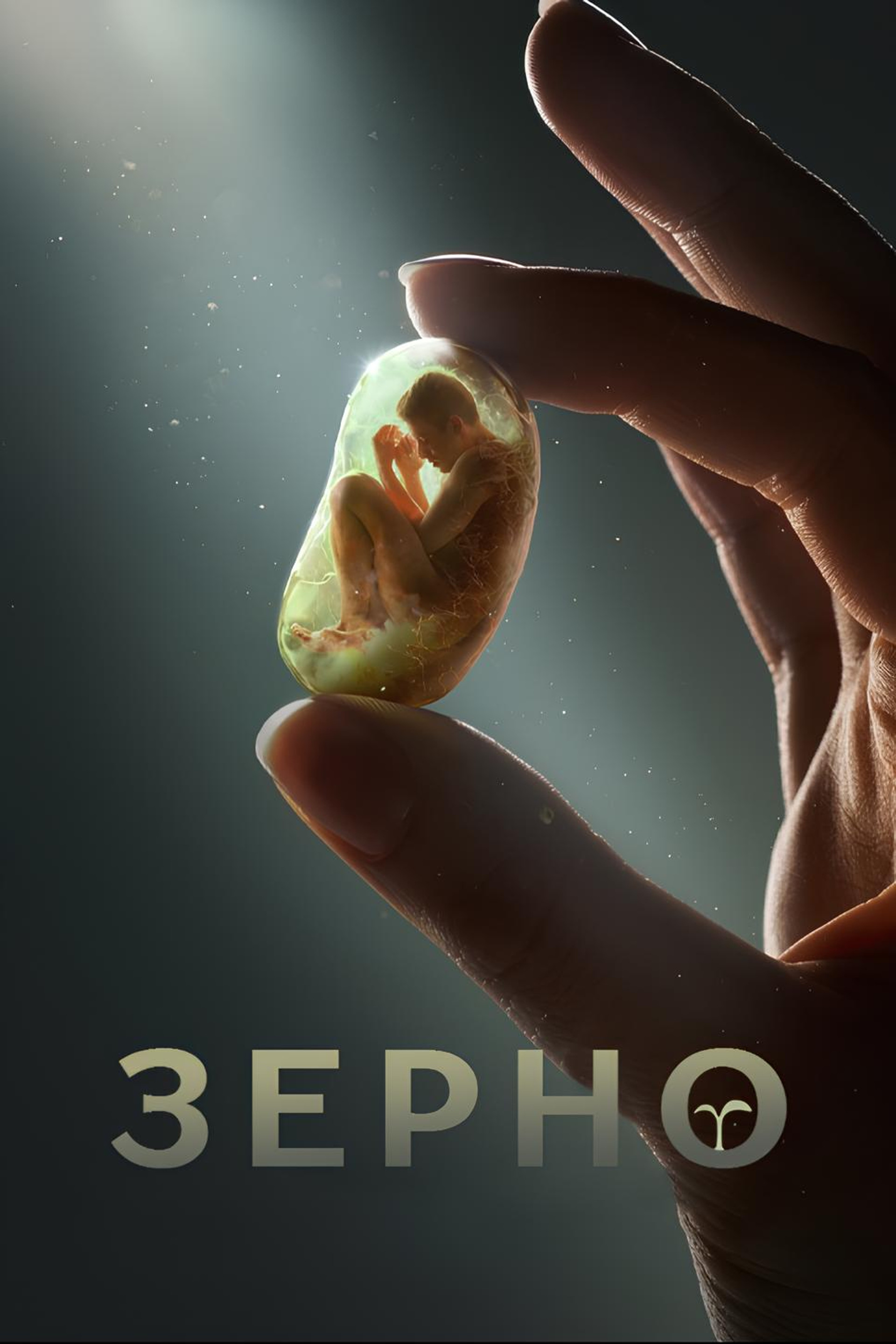 Зерно
