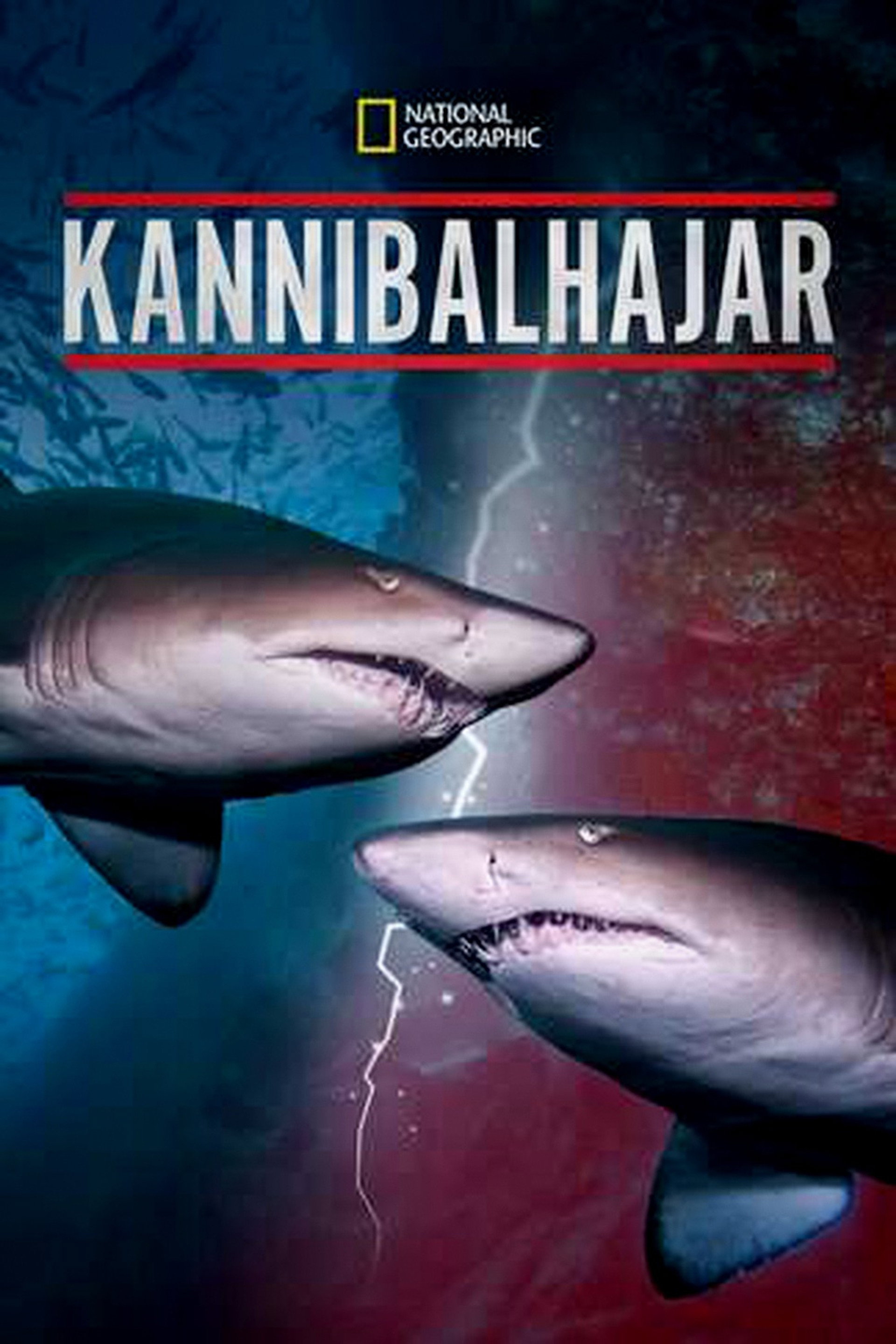 Kannibalhajar