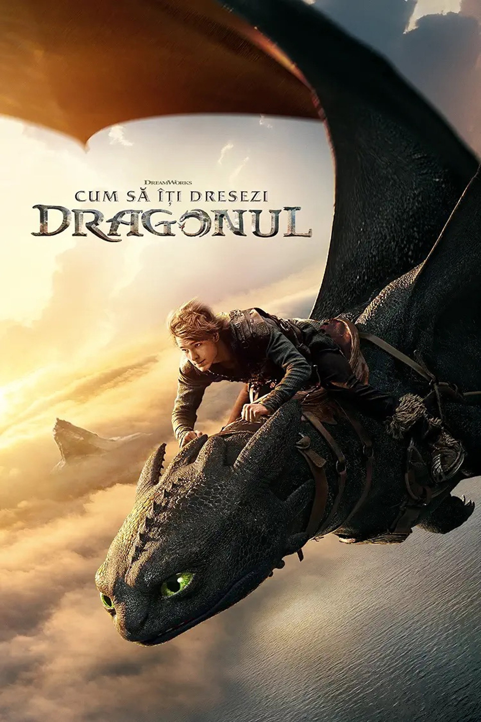 Cum să îți dresezi dragonul