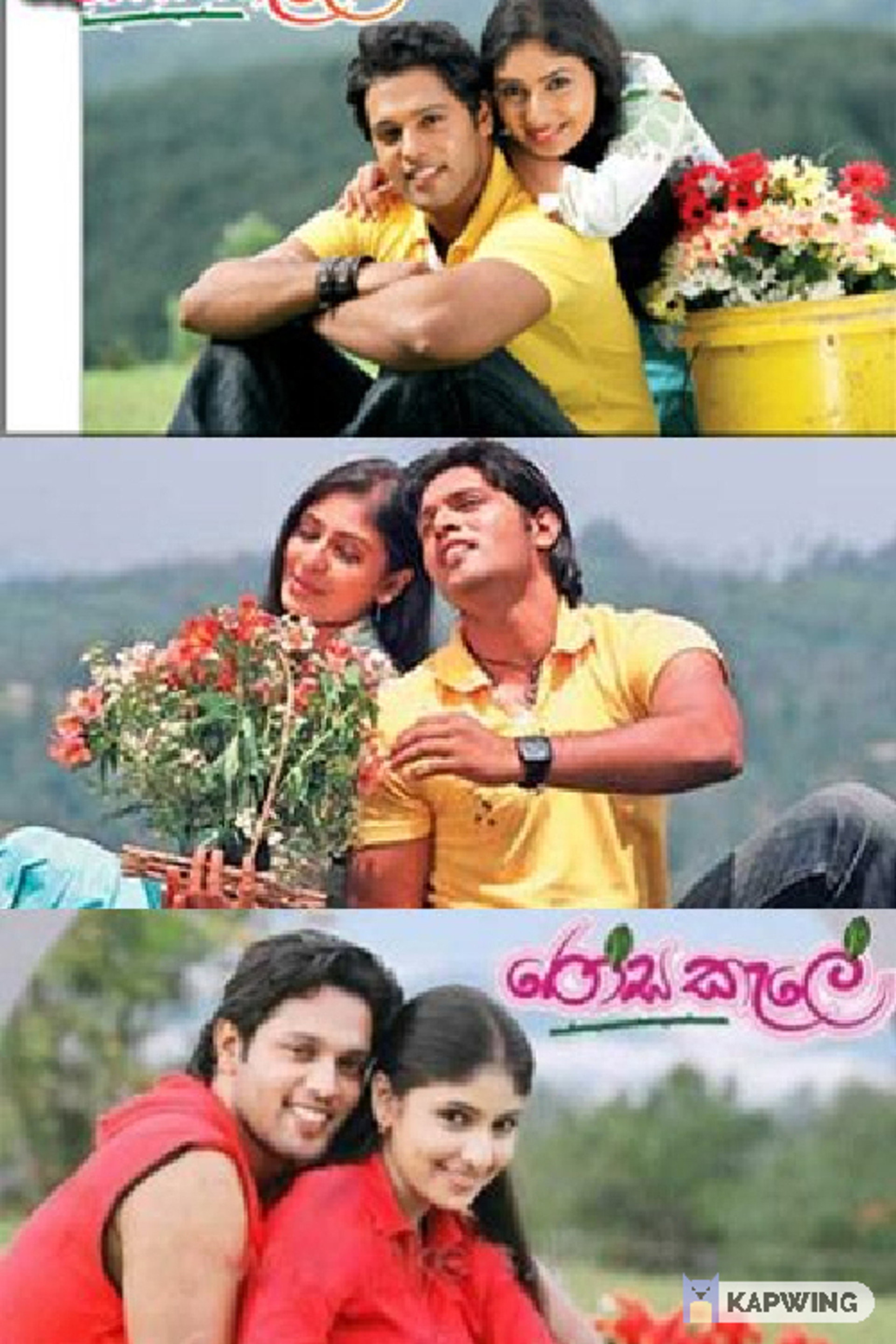 රෝස කැළේ