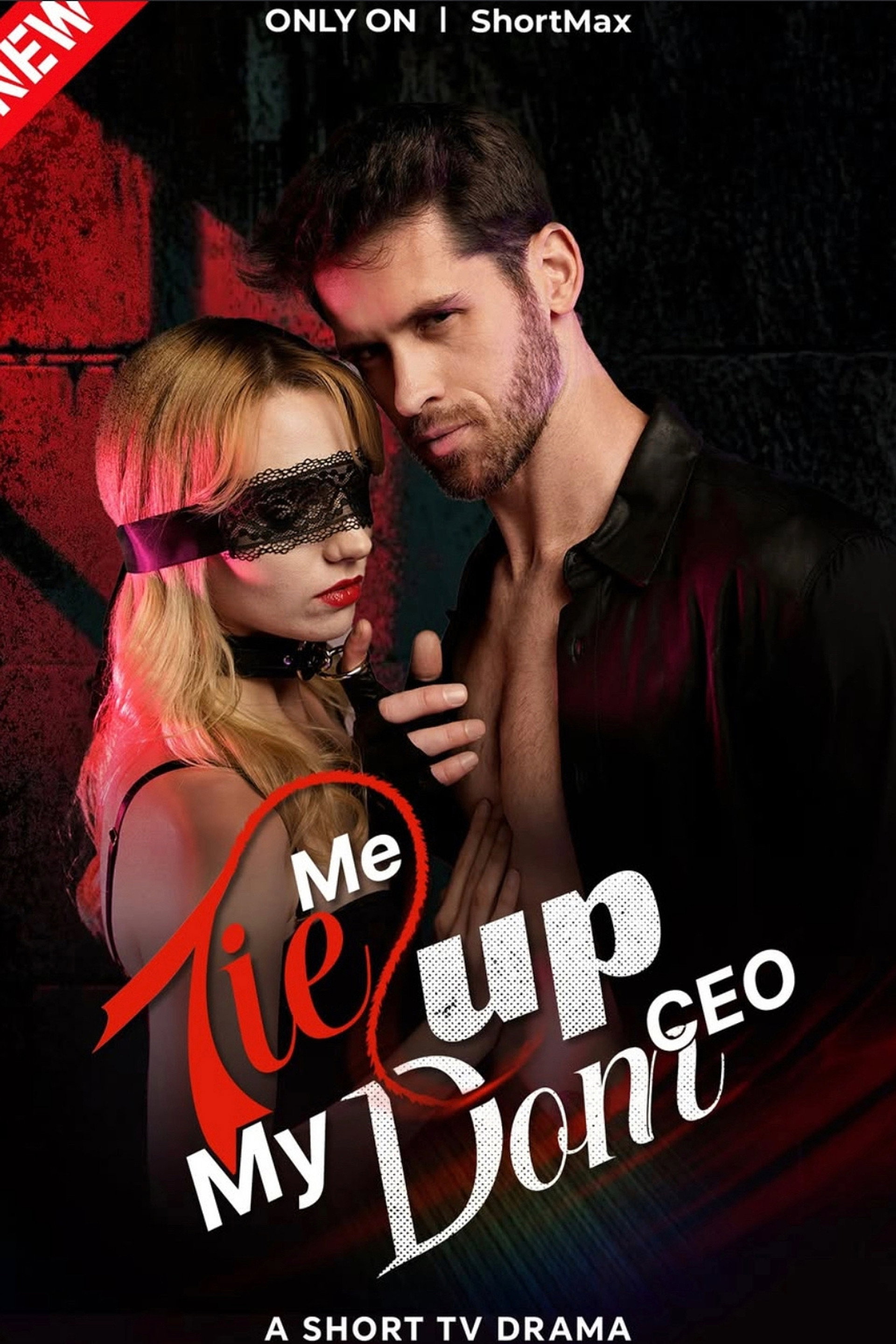 Tie Me Up, My Dom CEO