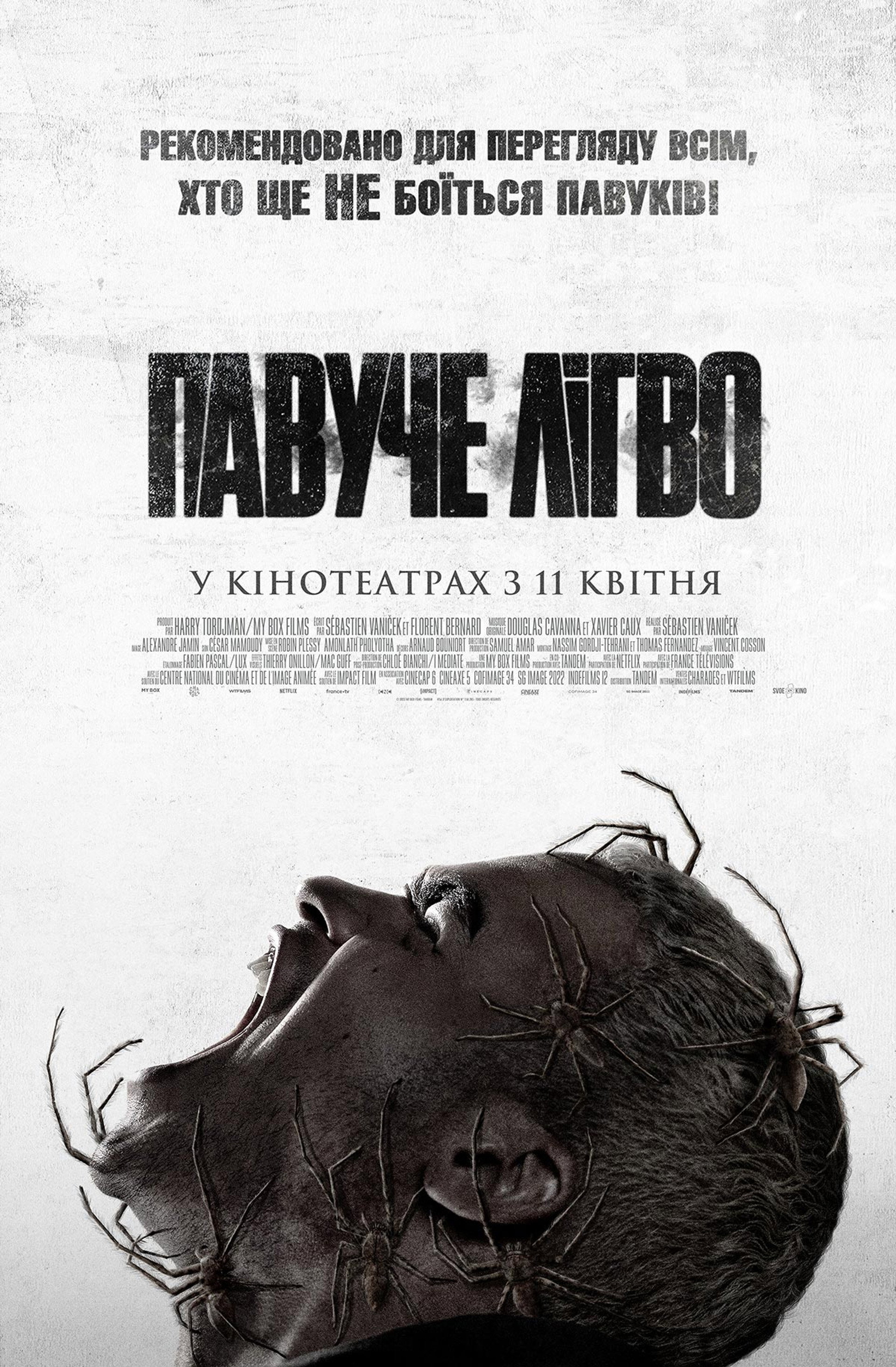 Павуче лігво