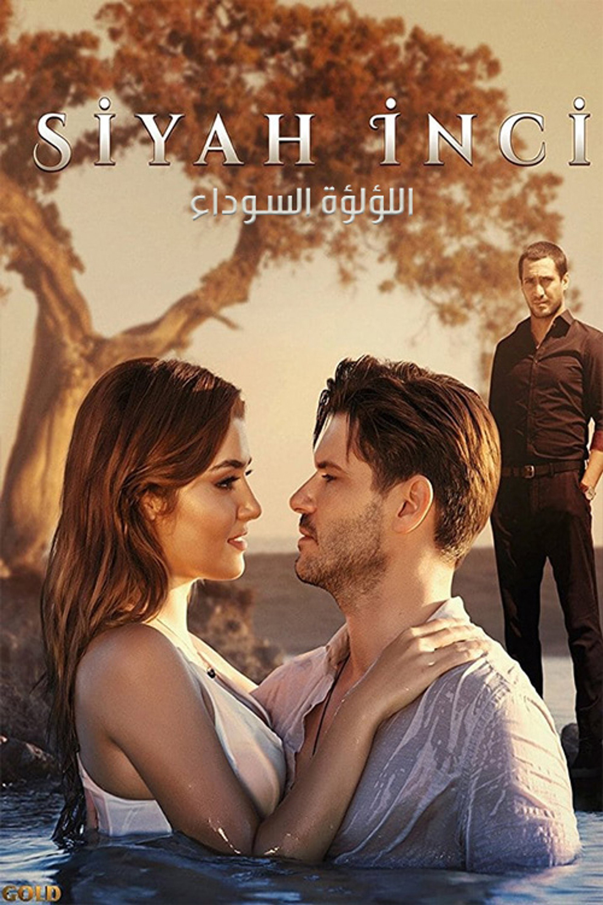 الؤلؤة السوداء