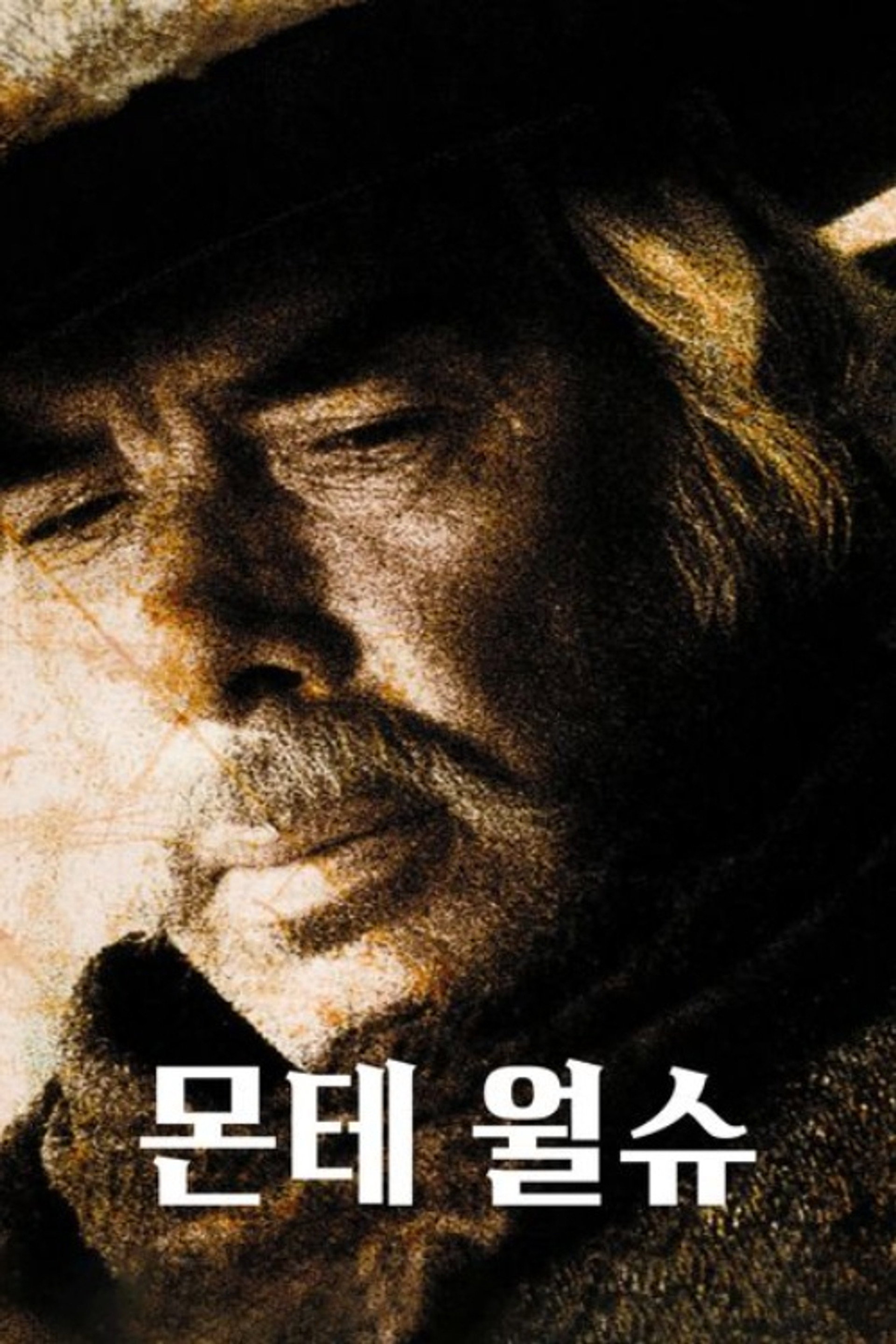 몬테 월슈