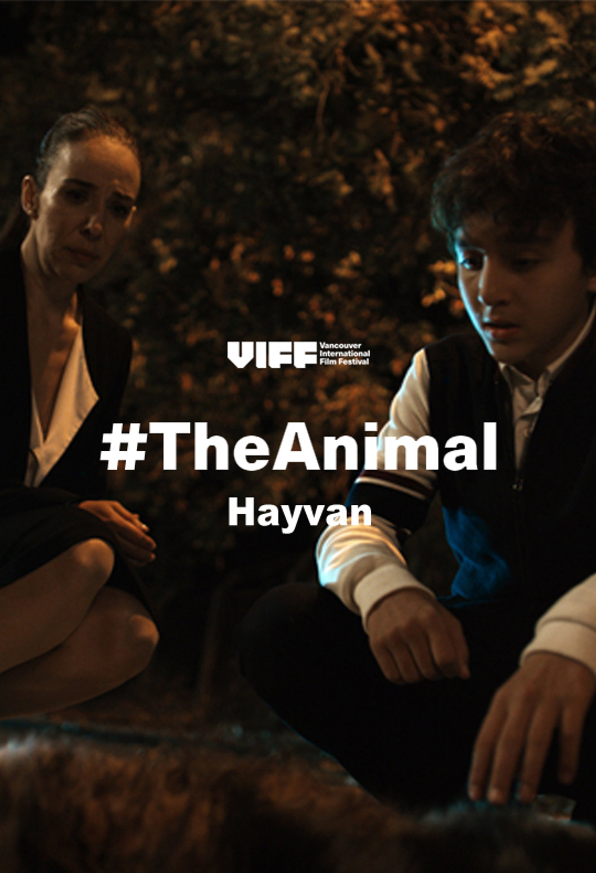 Hayvan