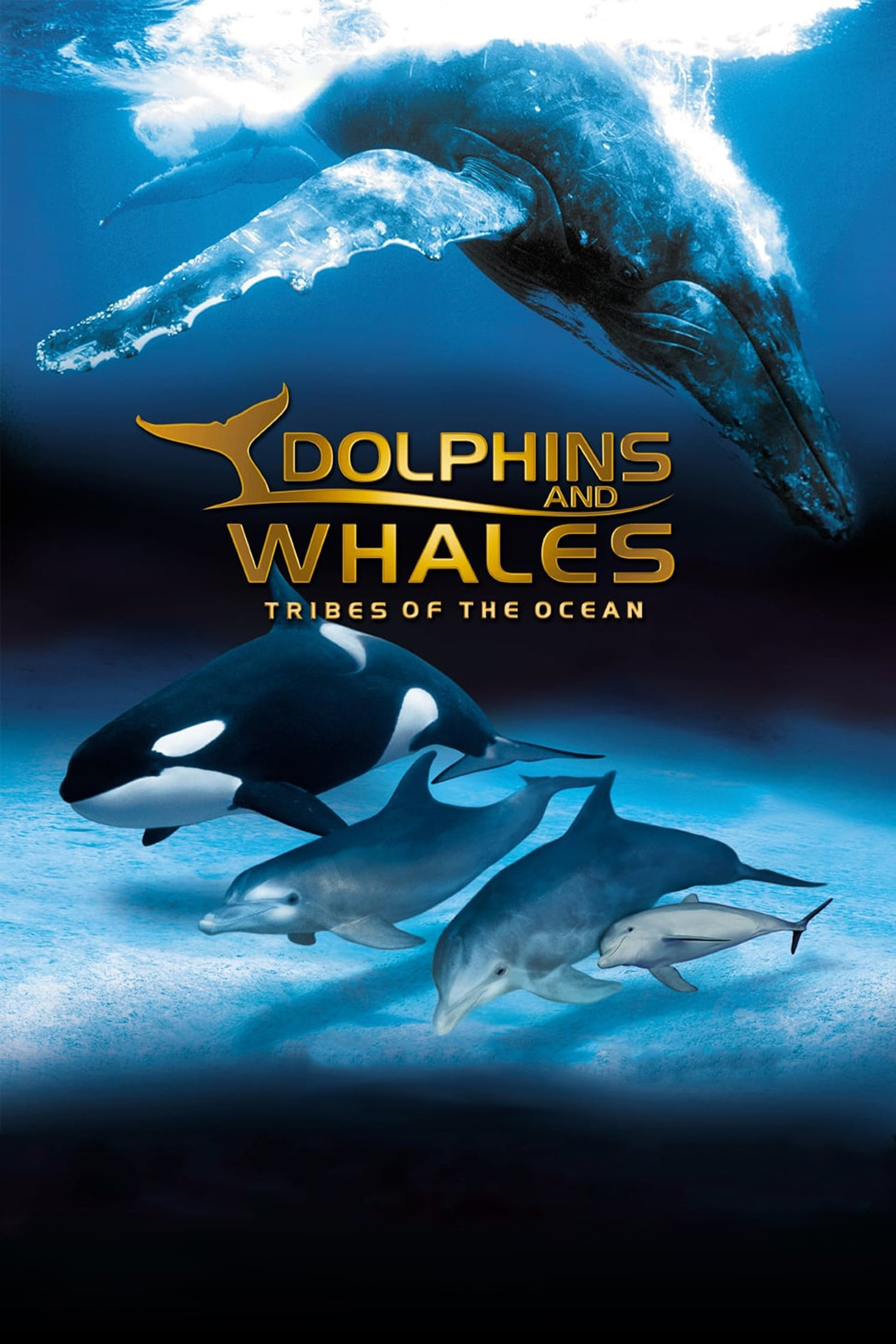 Delfini e balene - Le tribù degli oceani