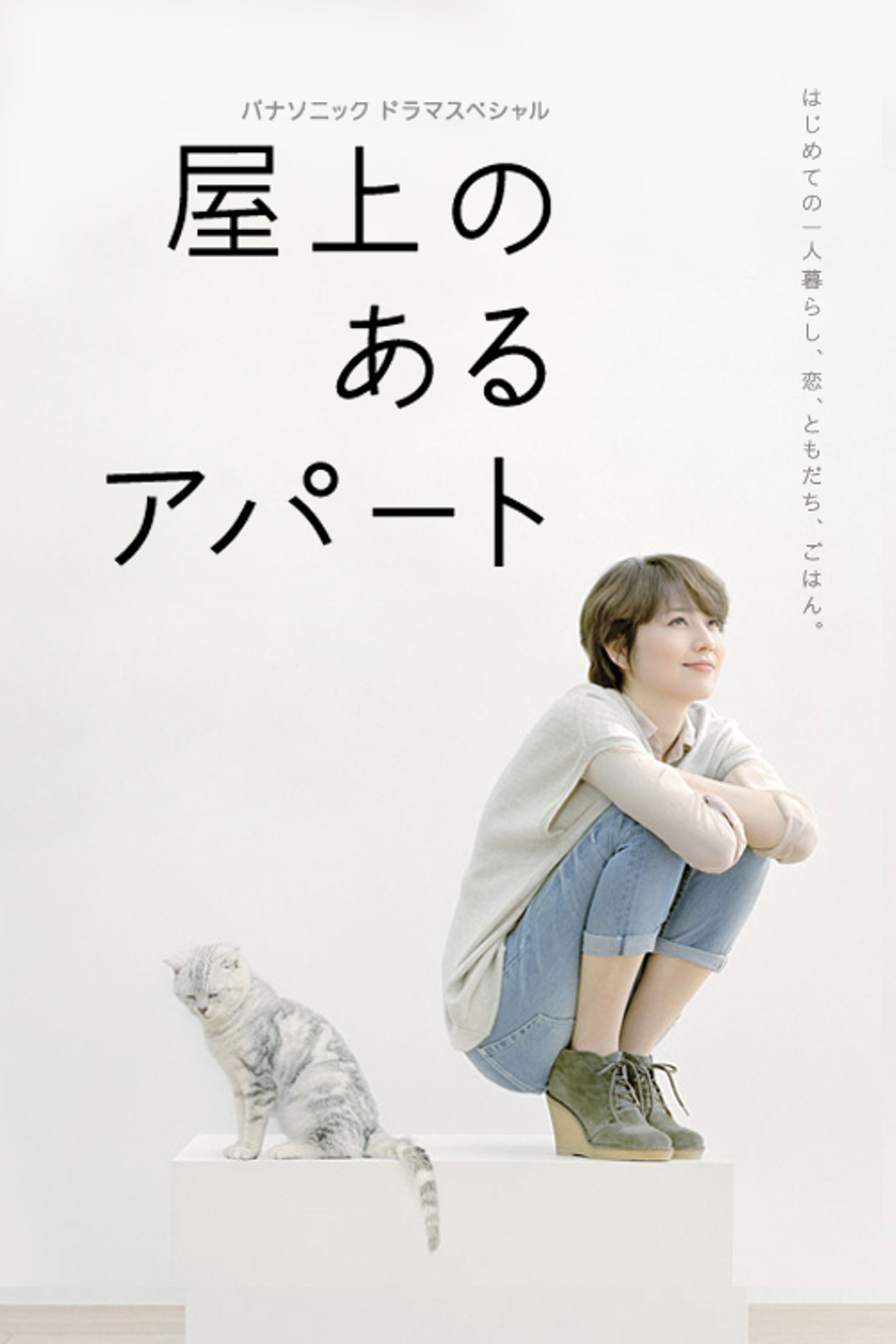 屋顶的公寓