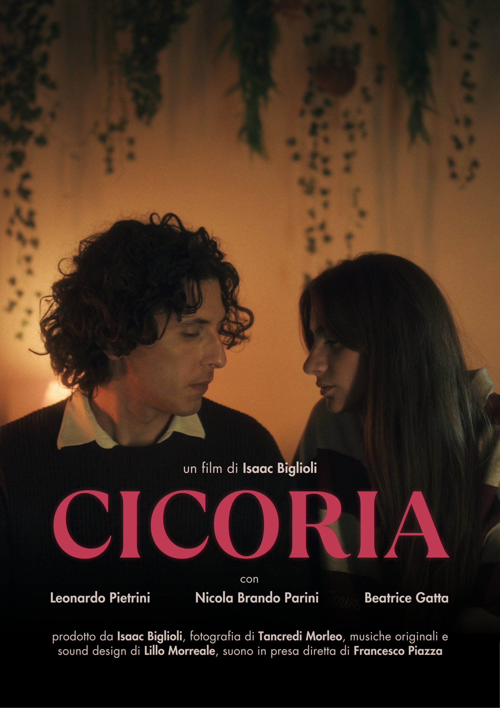 Cicoria