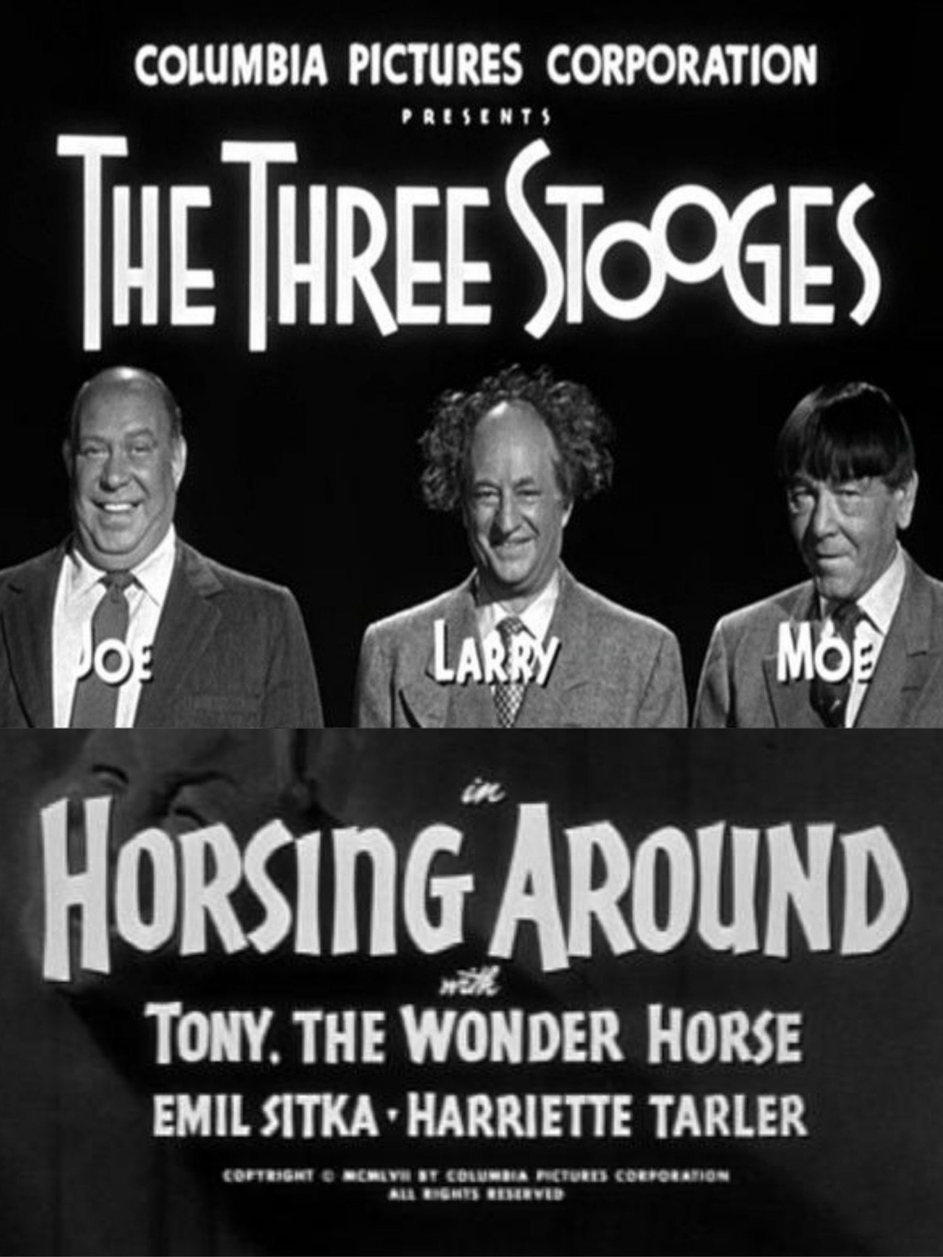Horsing Around