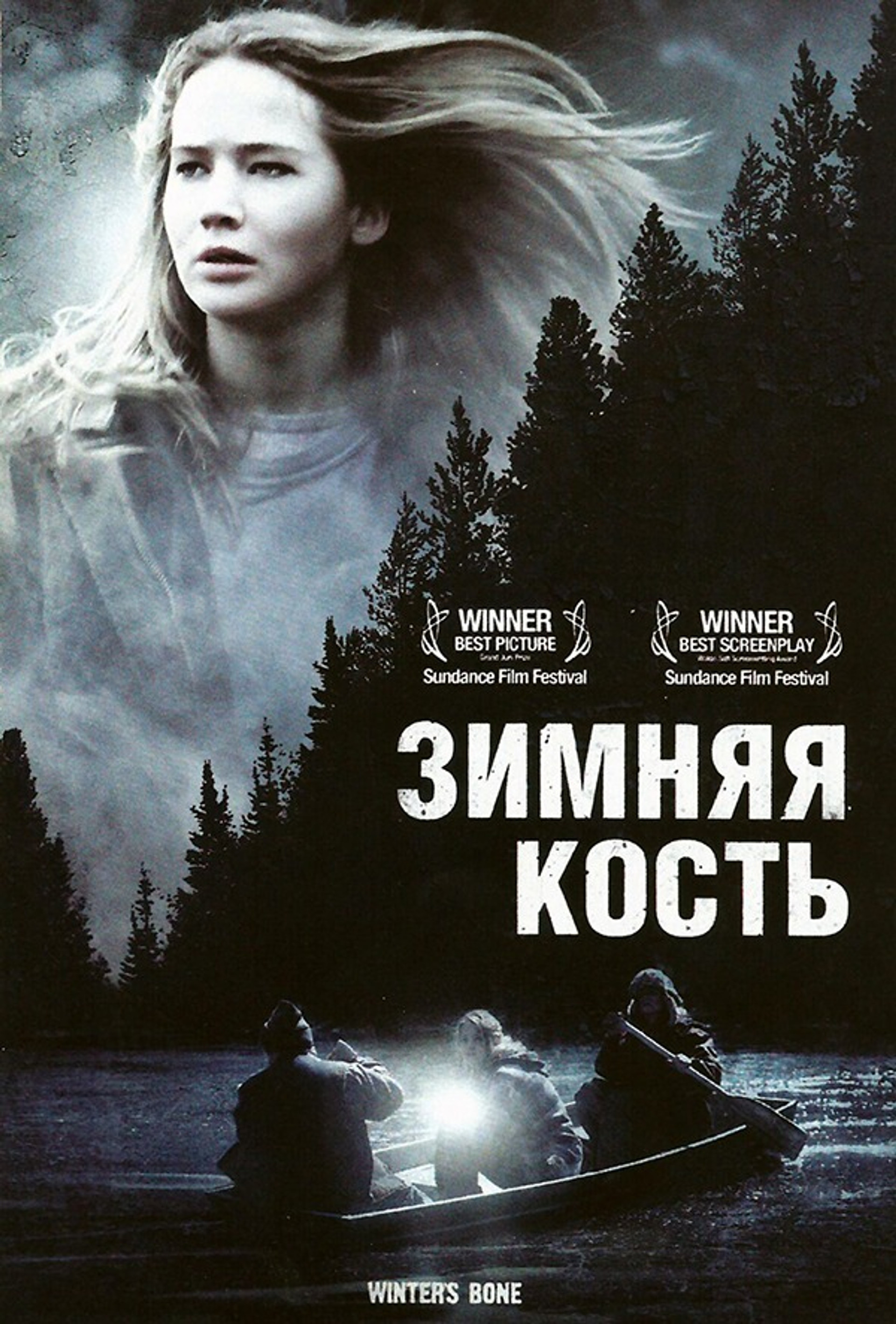 Зимняя кость