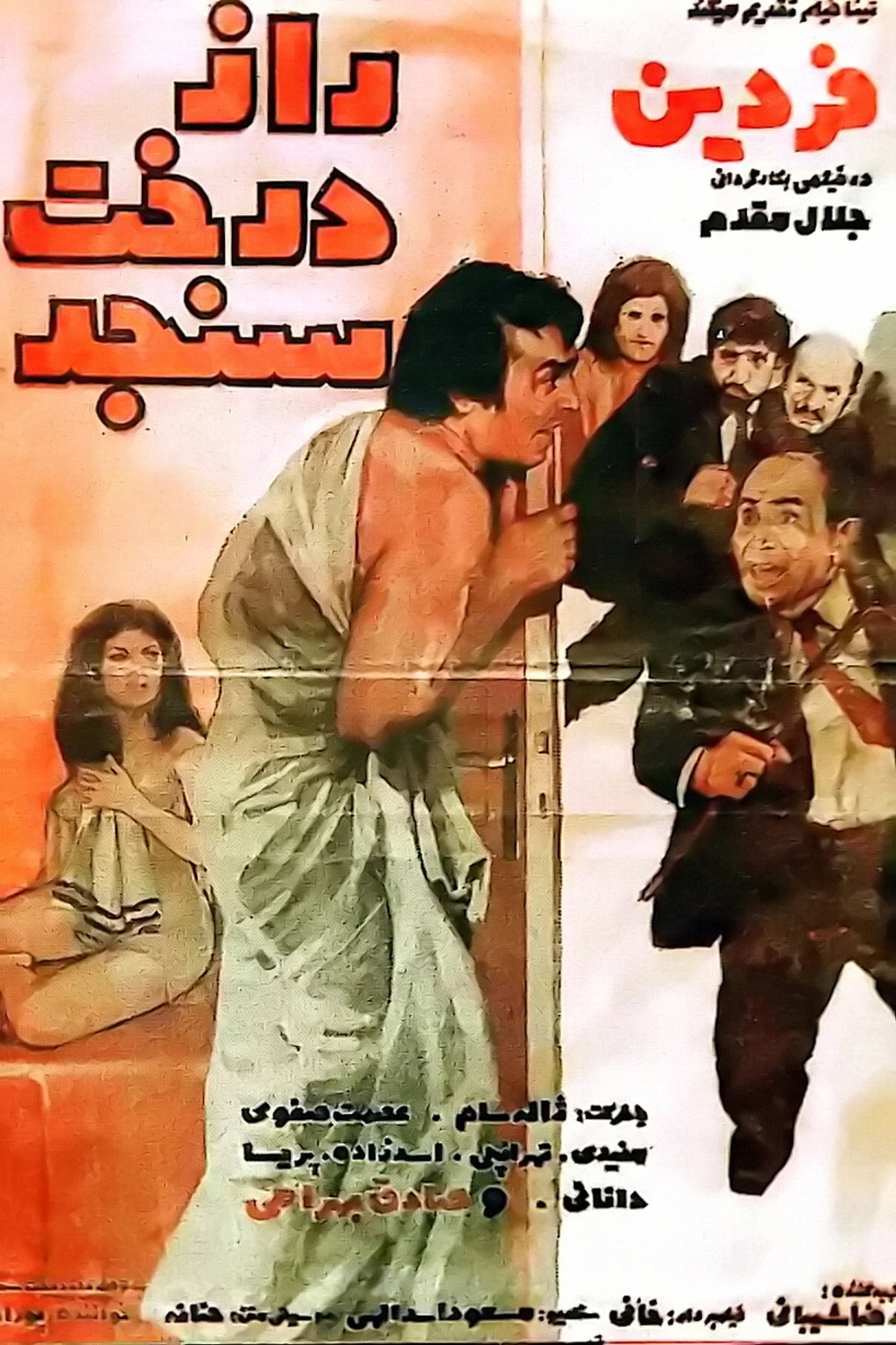 راز درخت سنجد