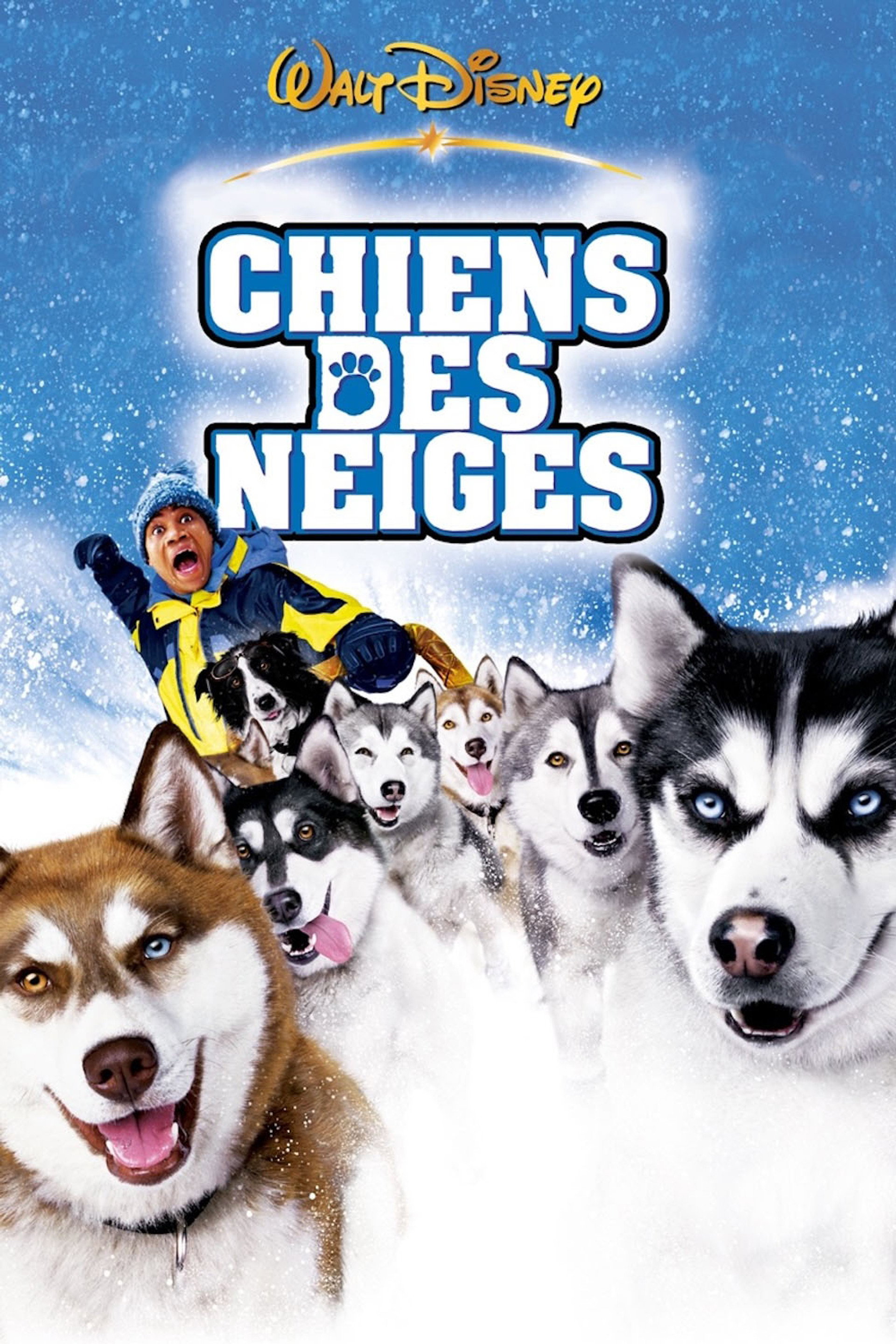 Chiens des neiges