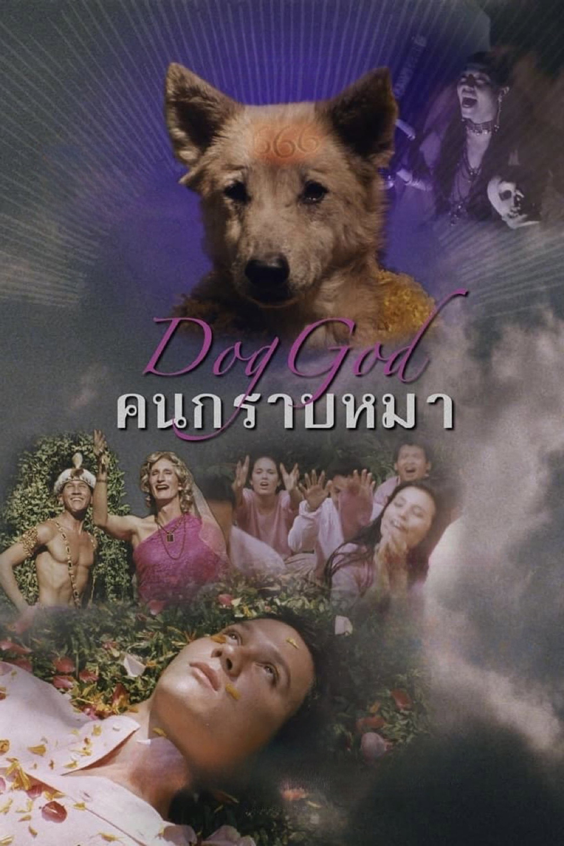 คนกราบหมา