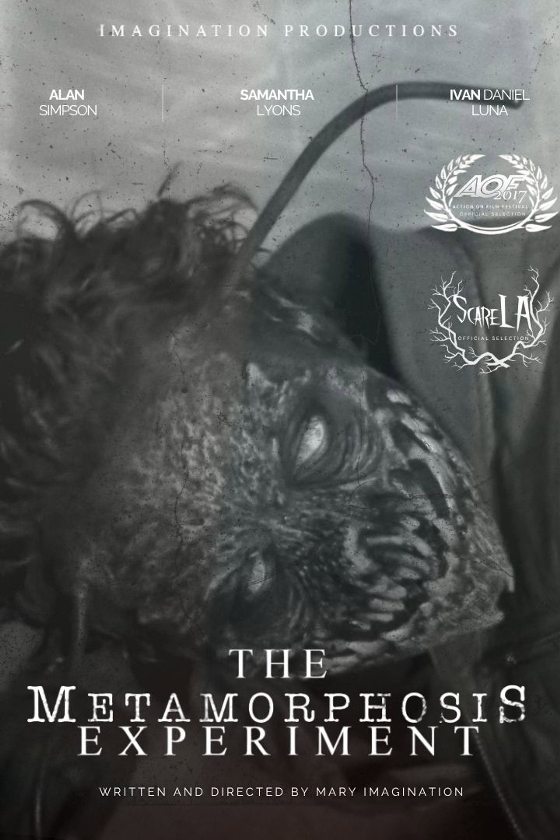 The Metamorphosis Experiment