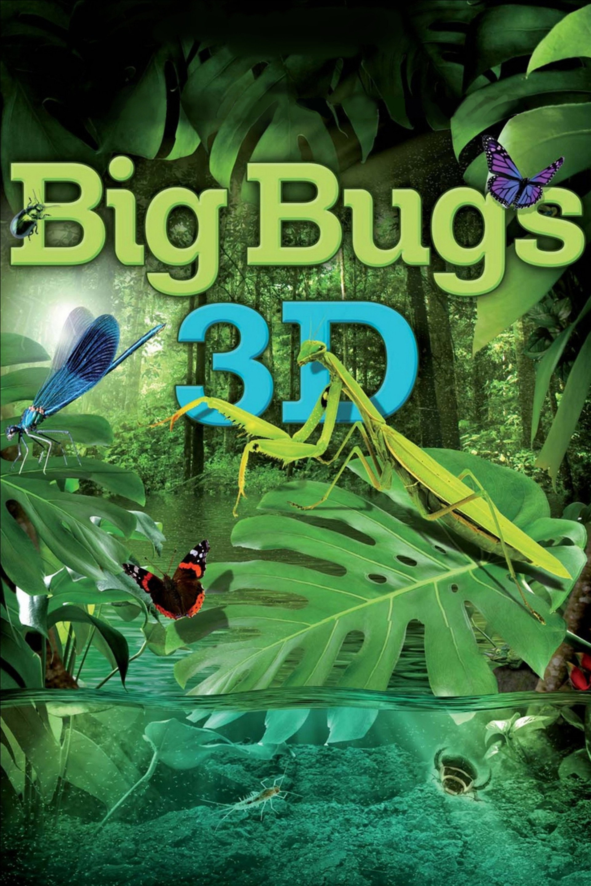 Insetti 3D