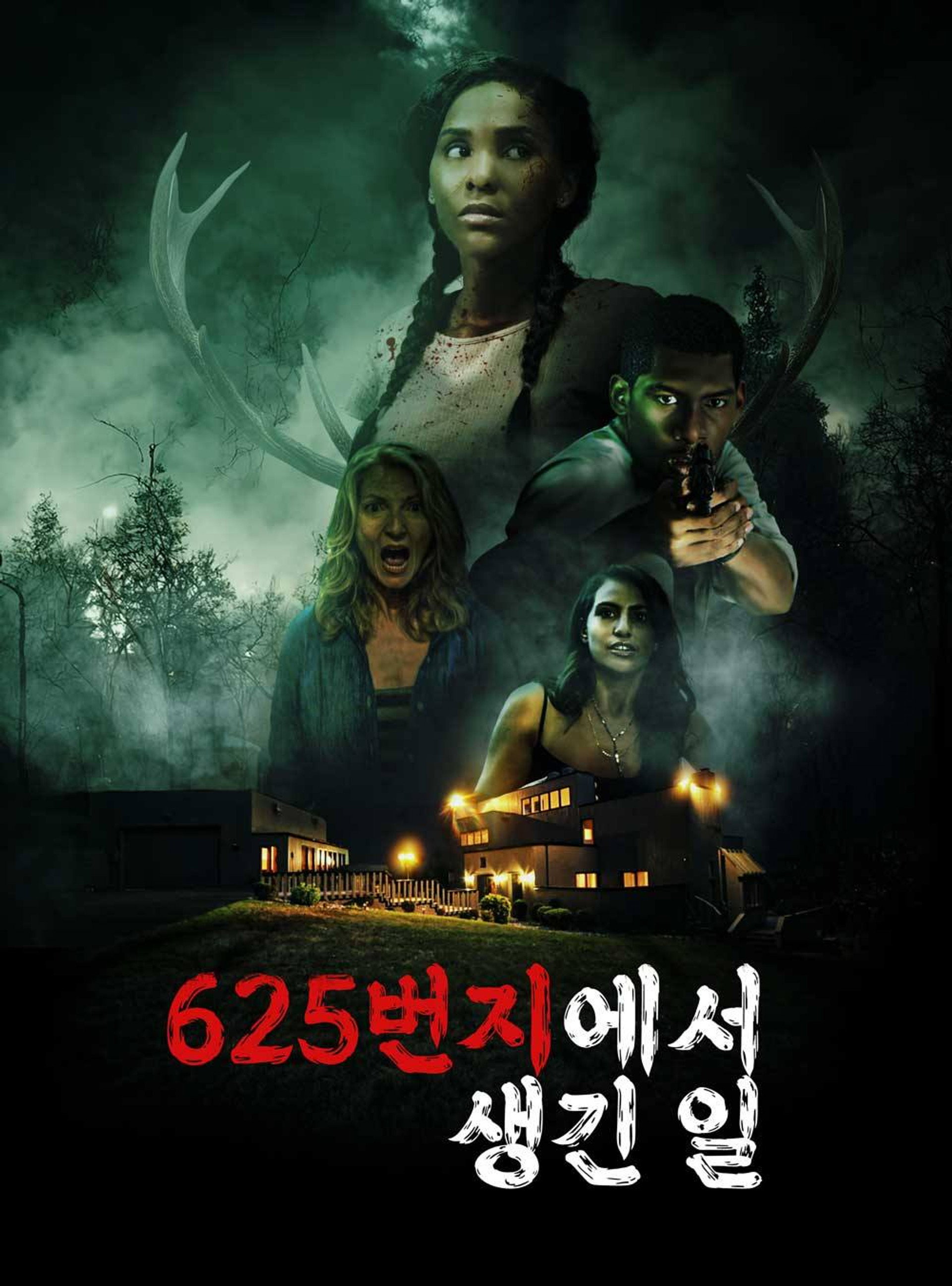 625번지에서 생긴 일