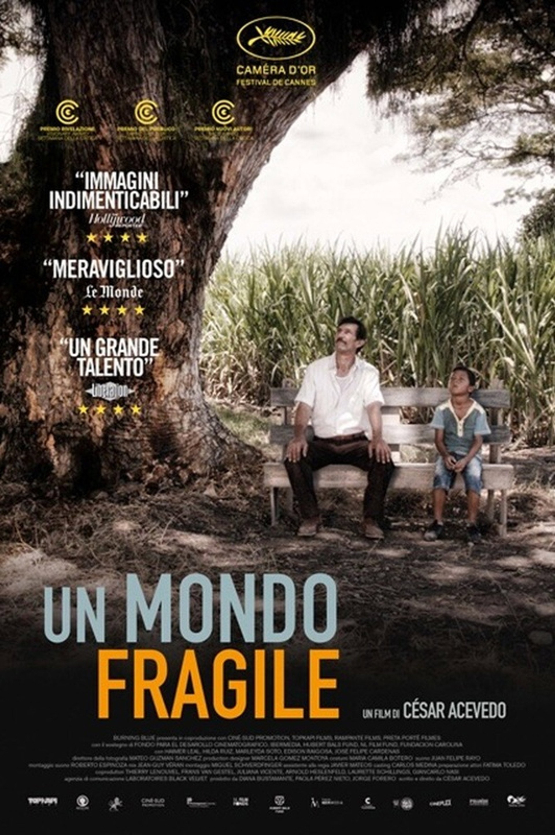 Un mondo fragile