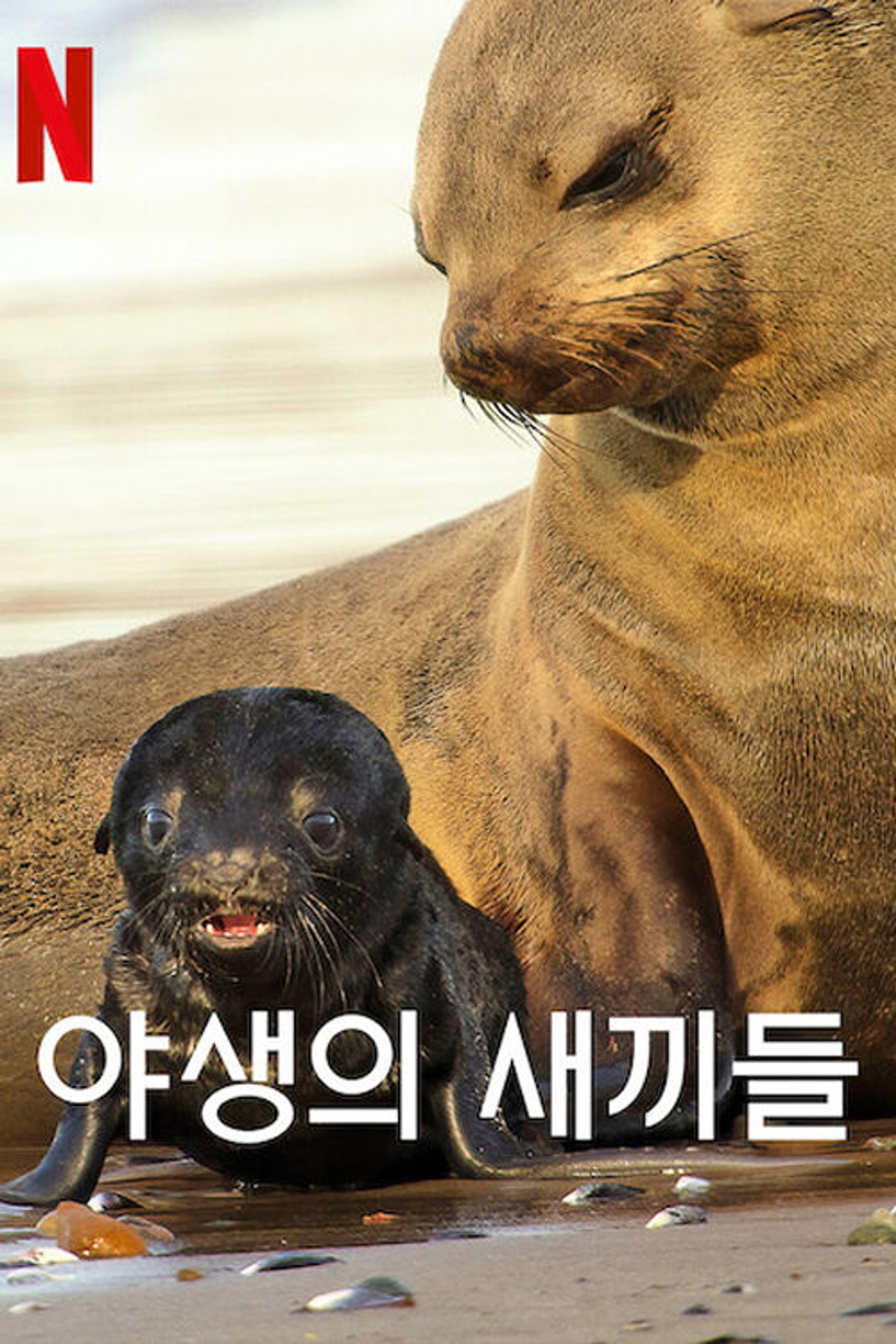 야생의 새끼들
