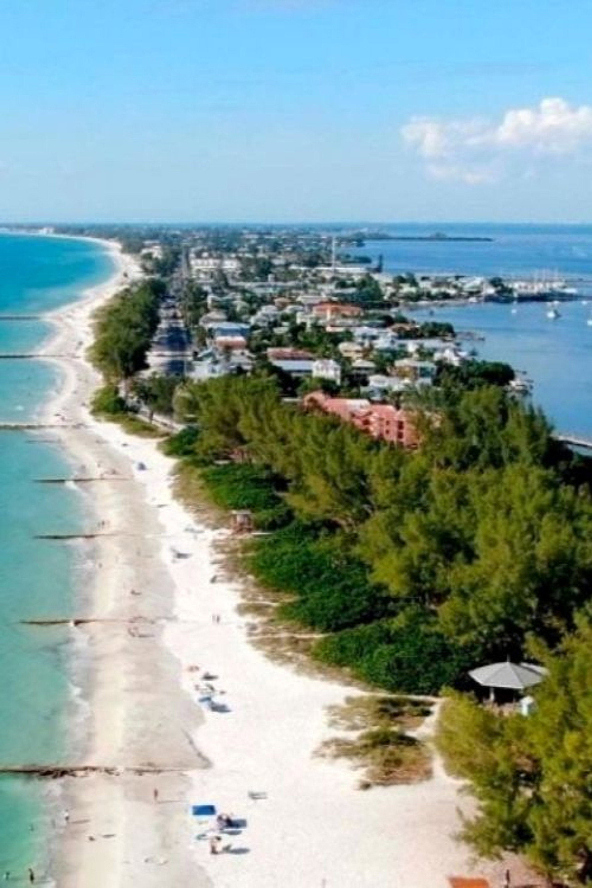 Floridas Golfküste - Seekühe, Sumpfboote, Schwammtaucher