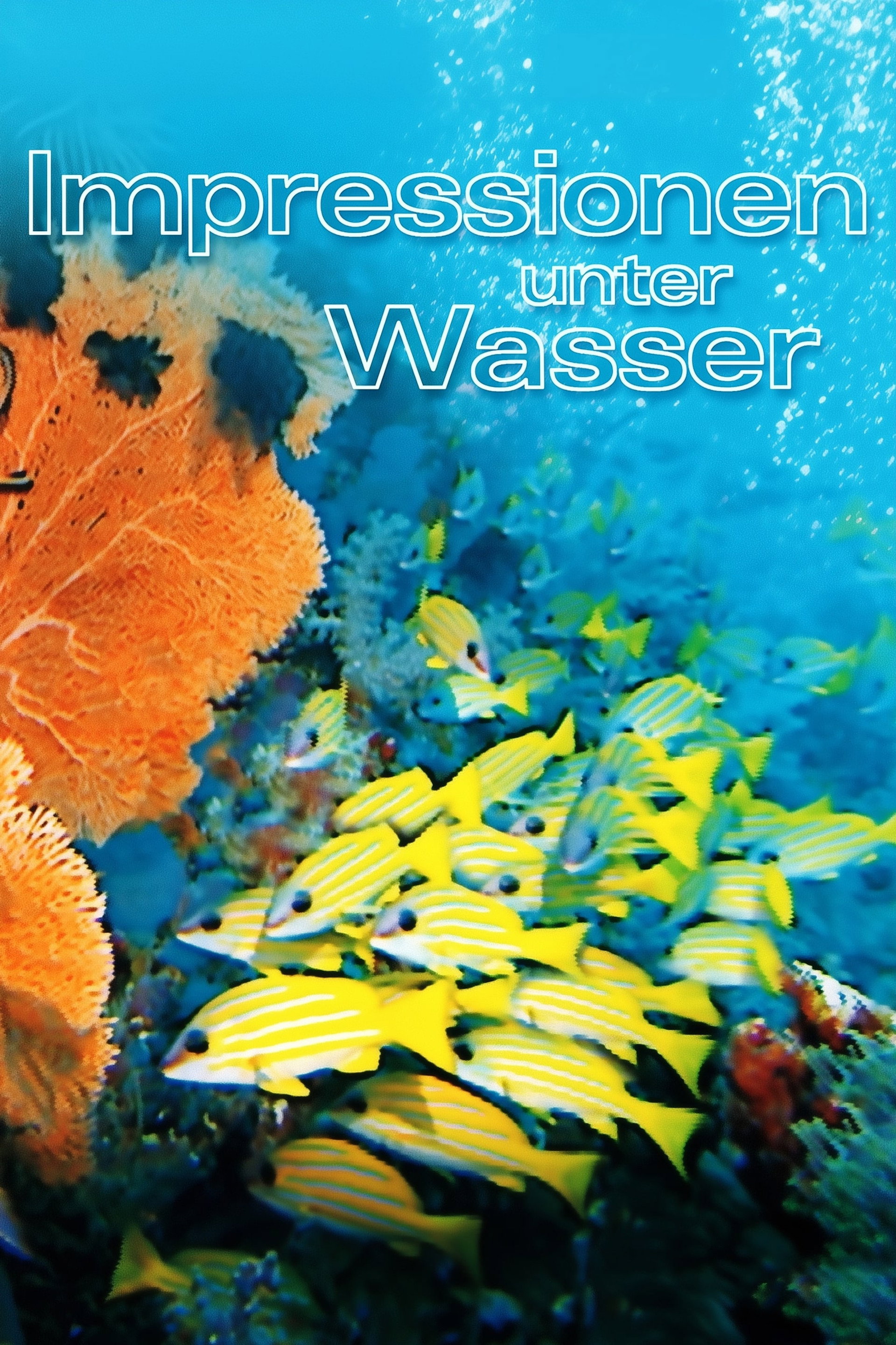 Impressionen unter Wasser