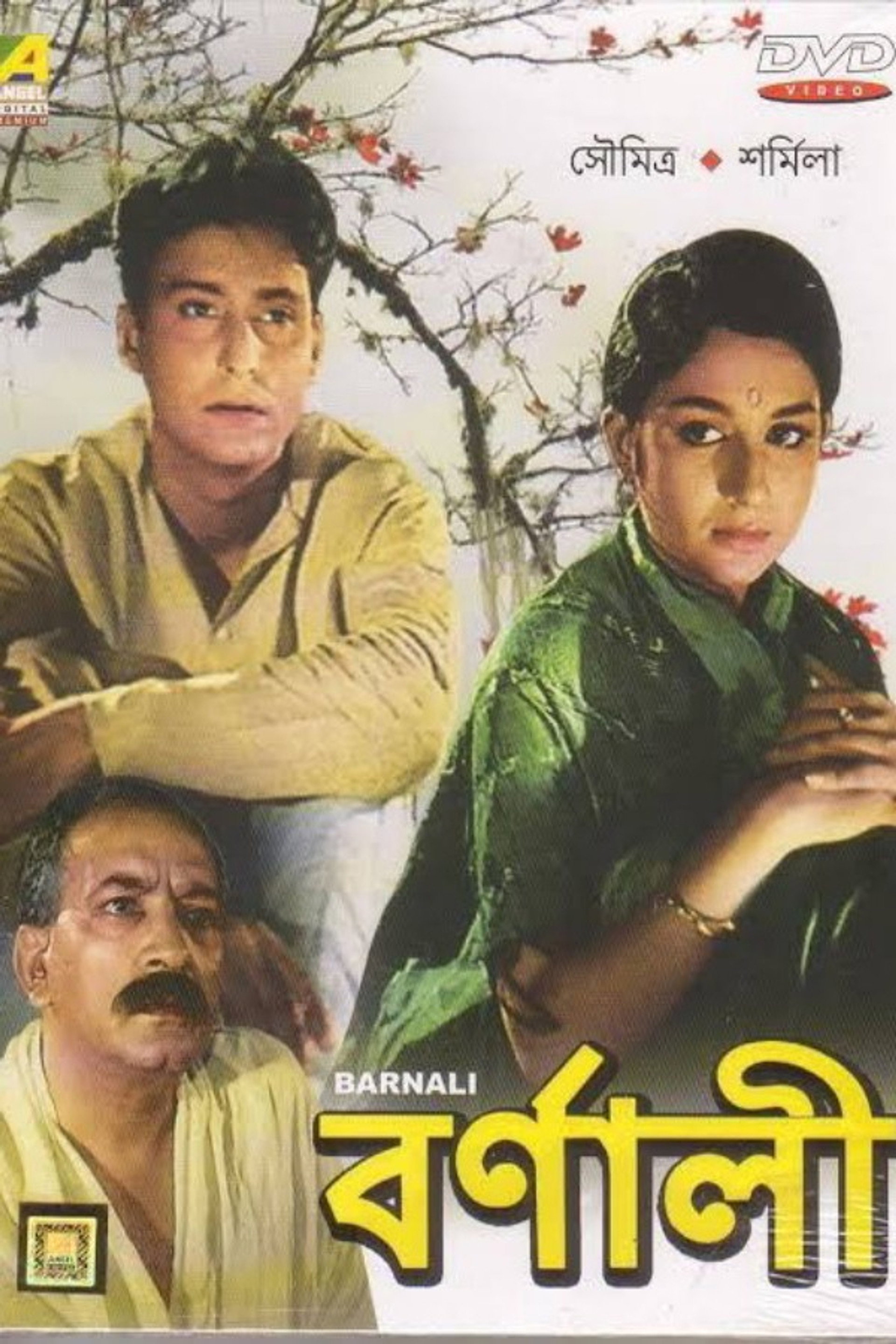 বর্ণালী