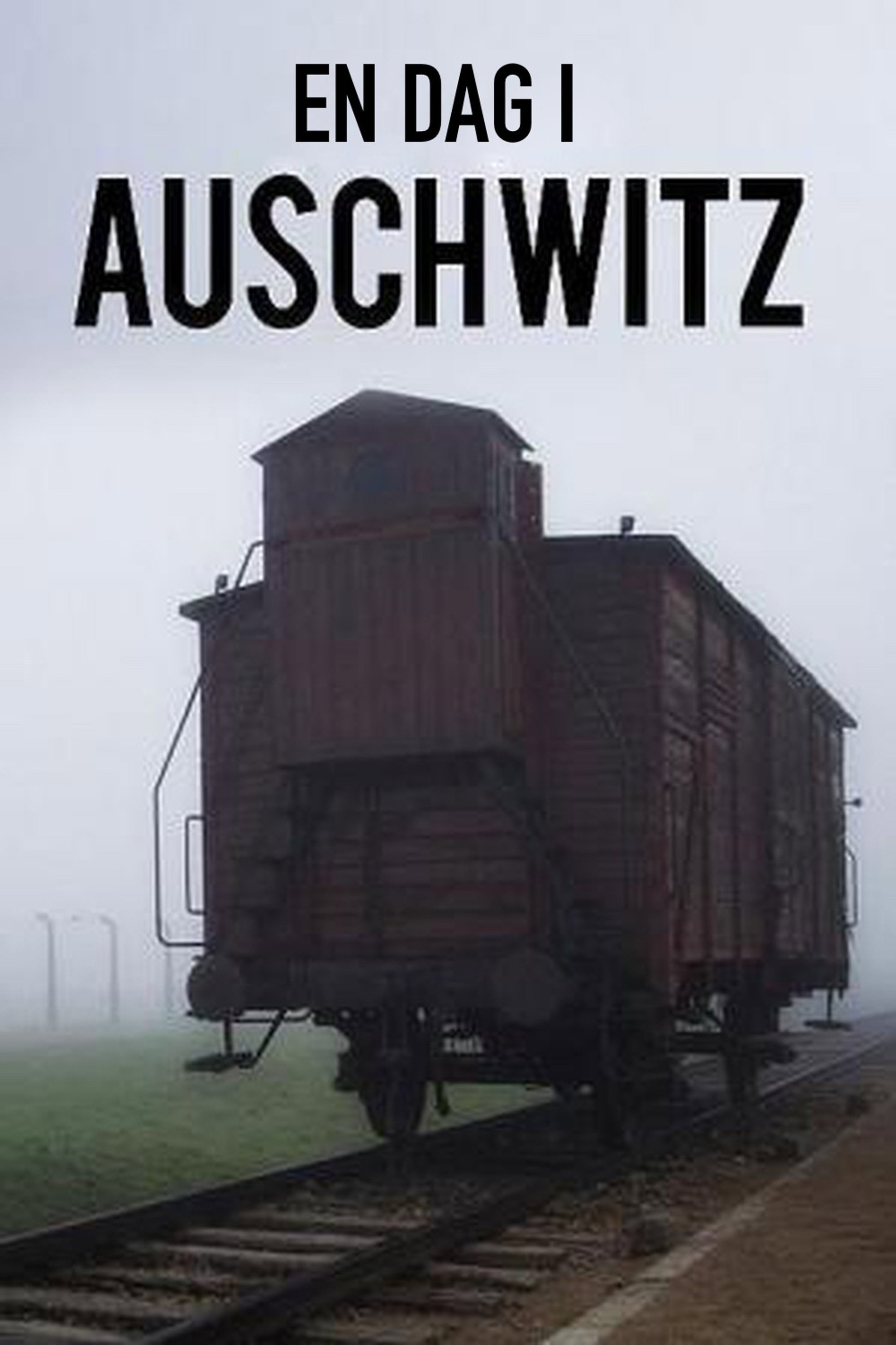En dag i Auschwitz