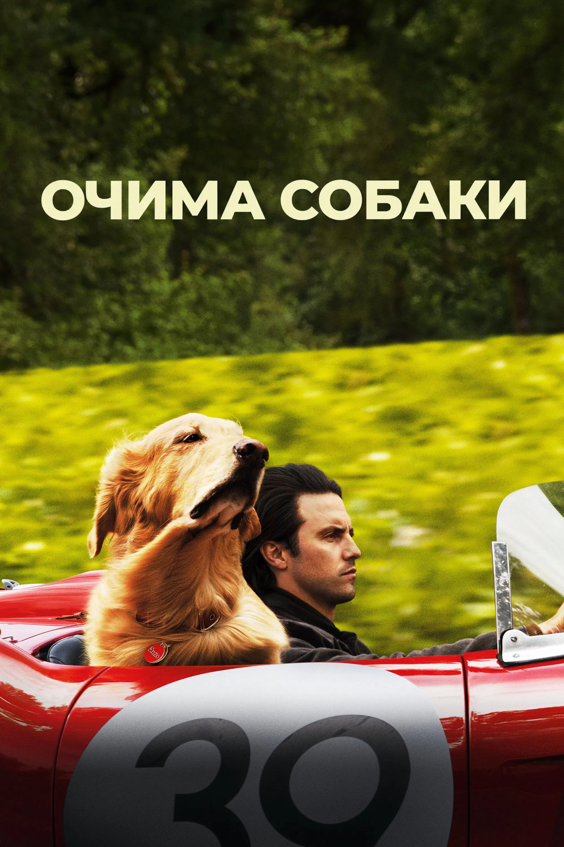 Очима собаки