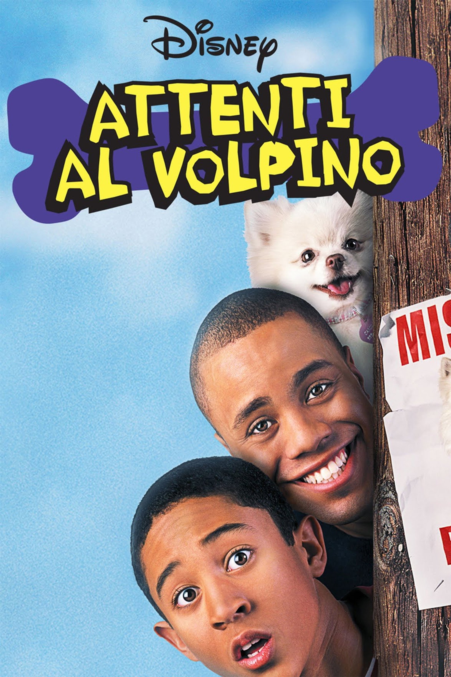 Attenti al volpino