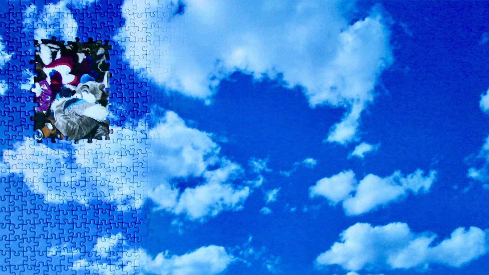 I Really Want To Go To Anthrocon 2025 But I'm Too Scared To Enter The States With My Tranny ID