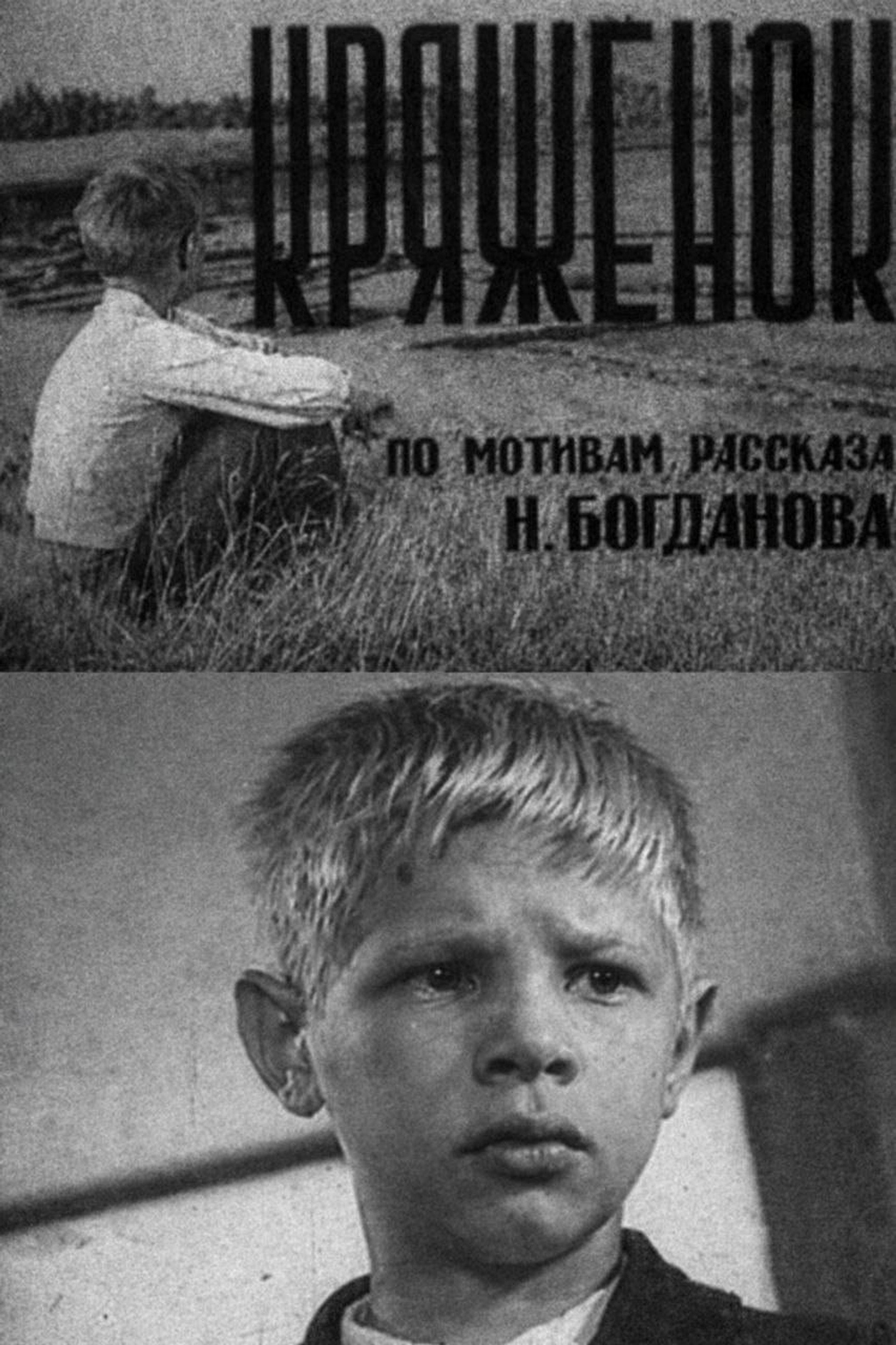 Kryazhonok