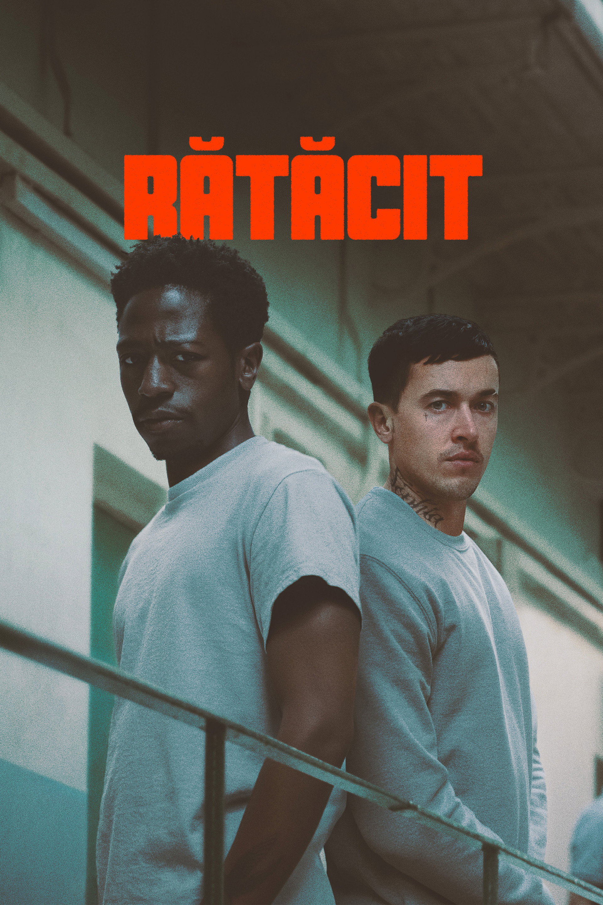 Rătăcit