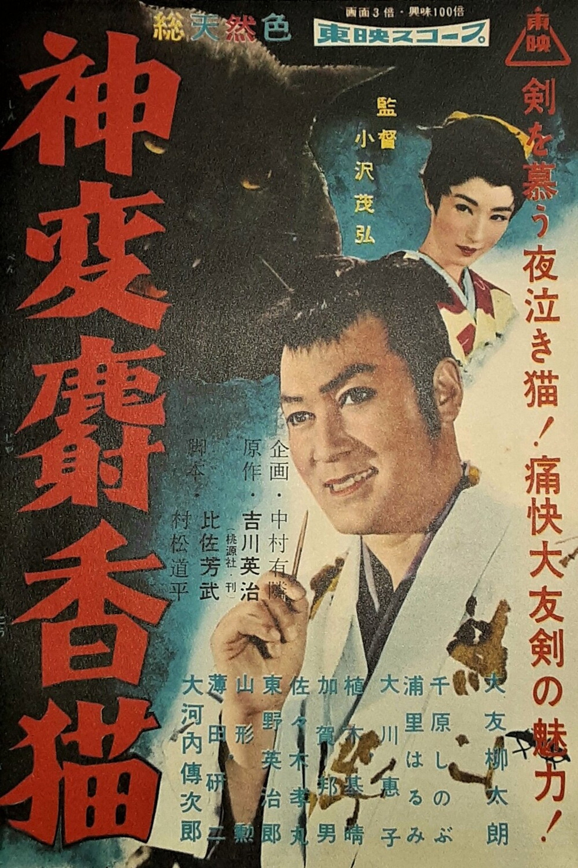 神変麝香猫