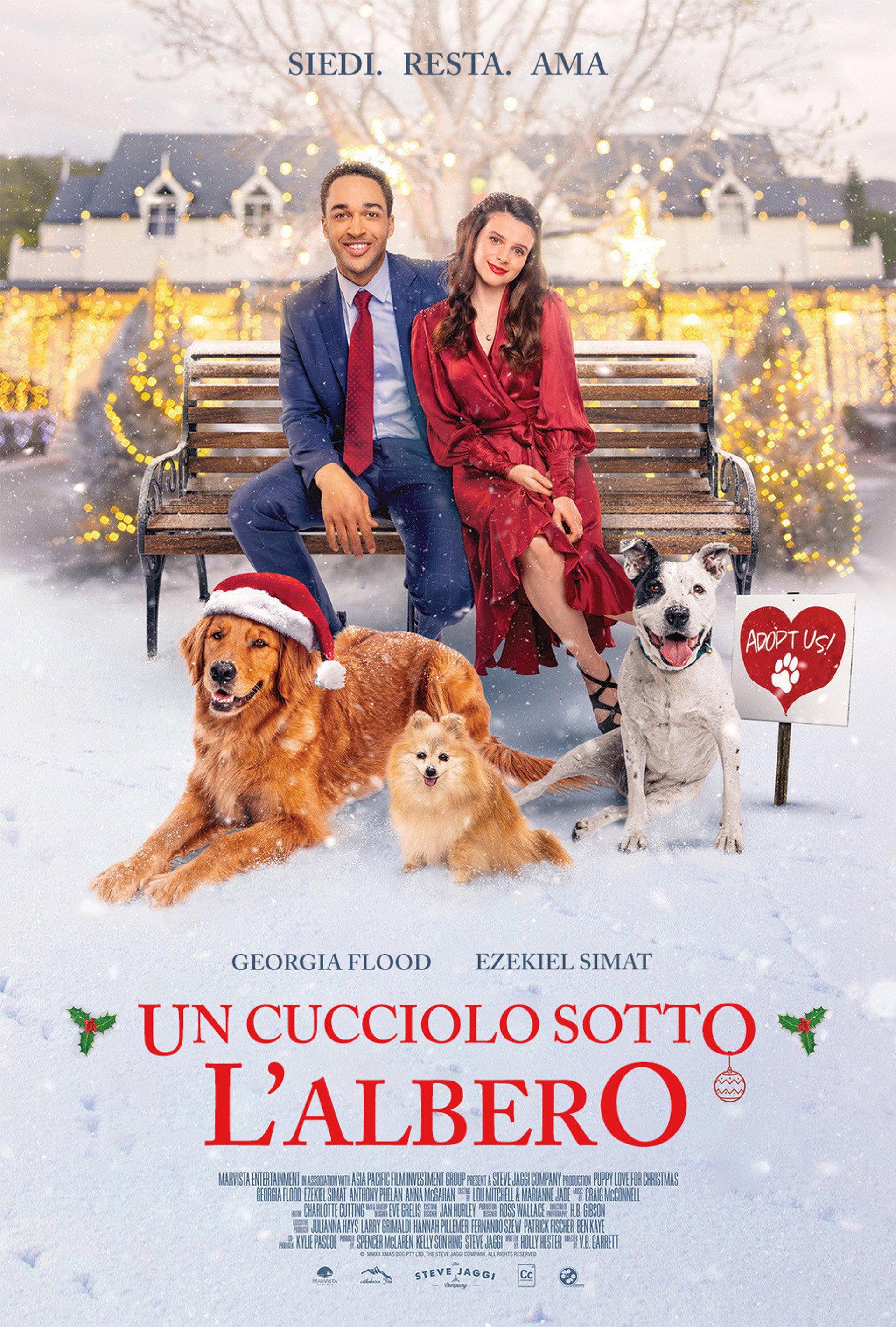 Un cucciolo sotto l'albero