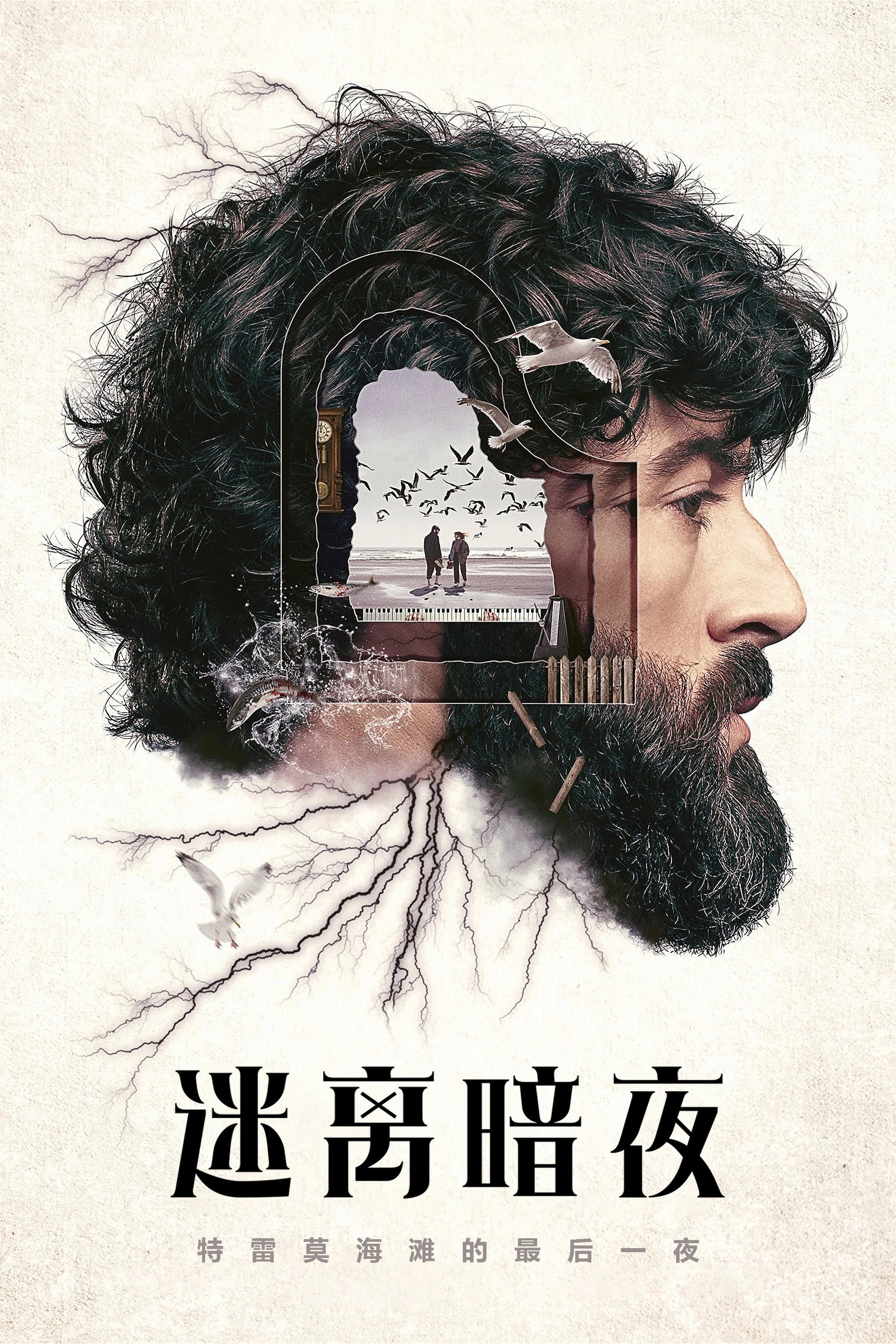 迷离暗夜