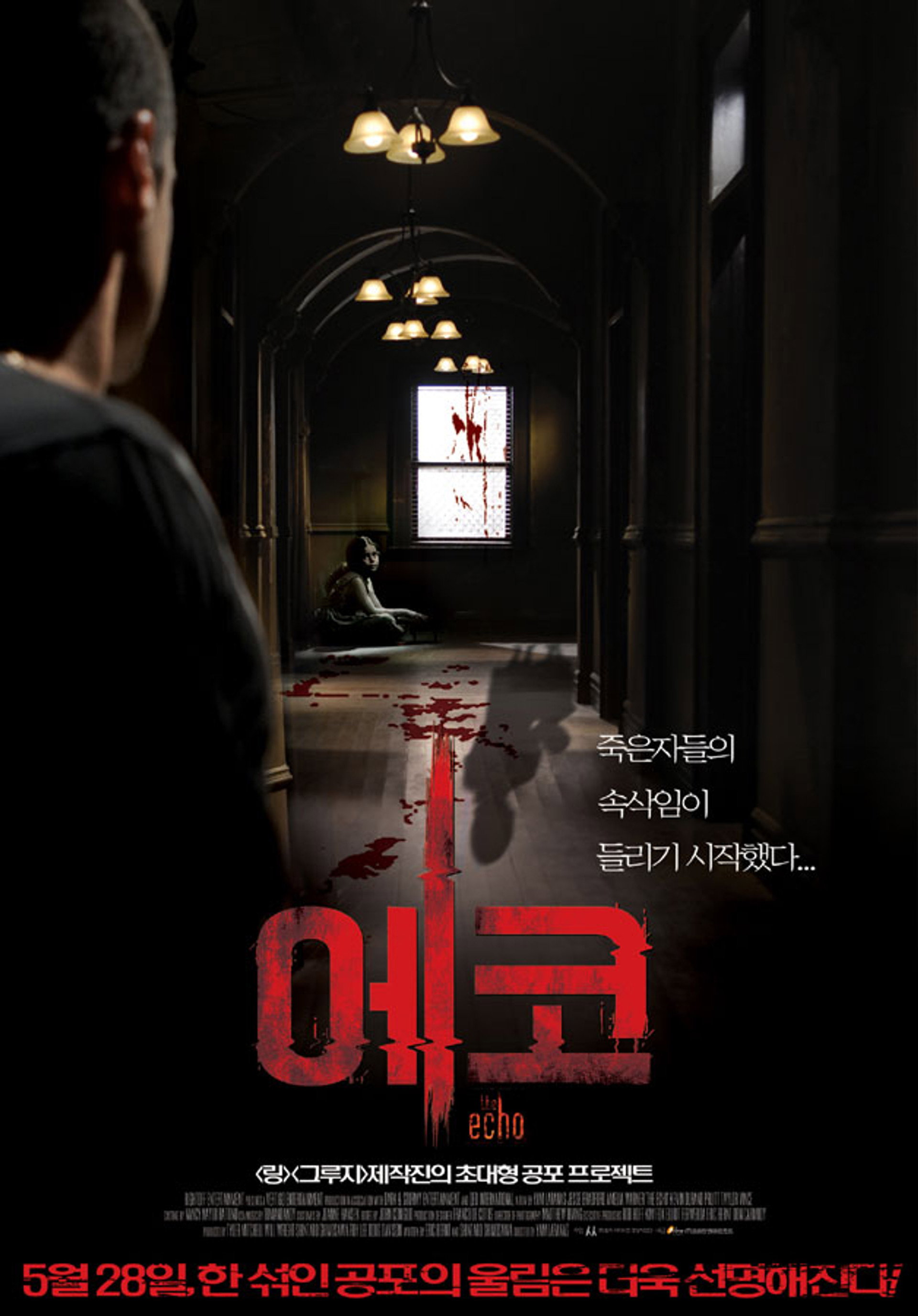 에코