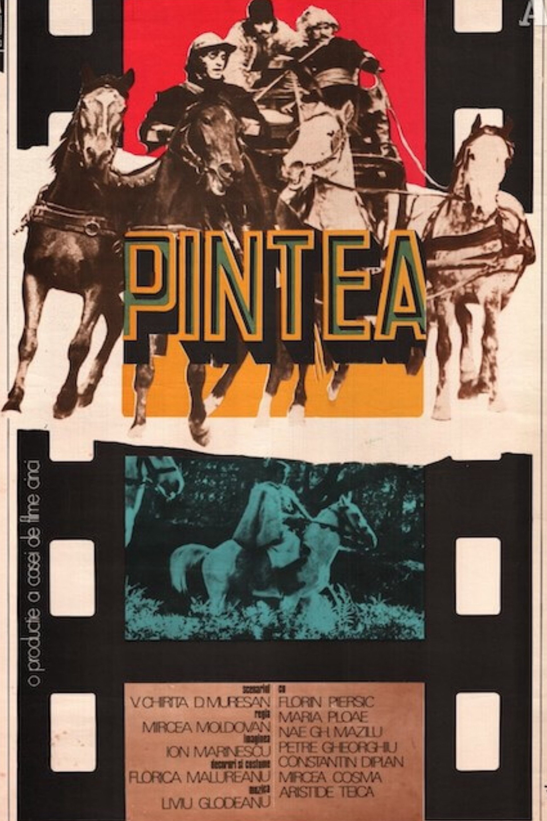 Pintea