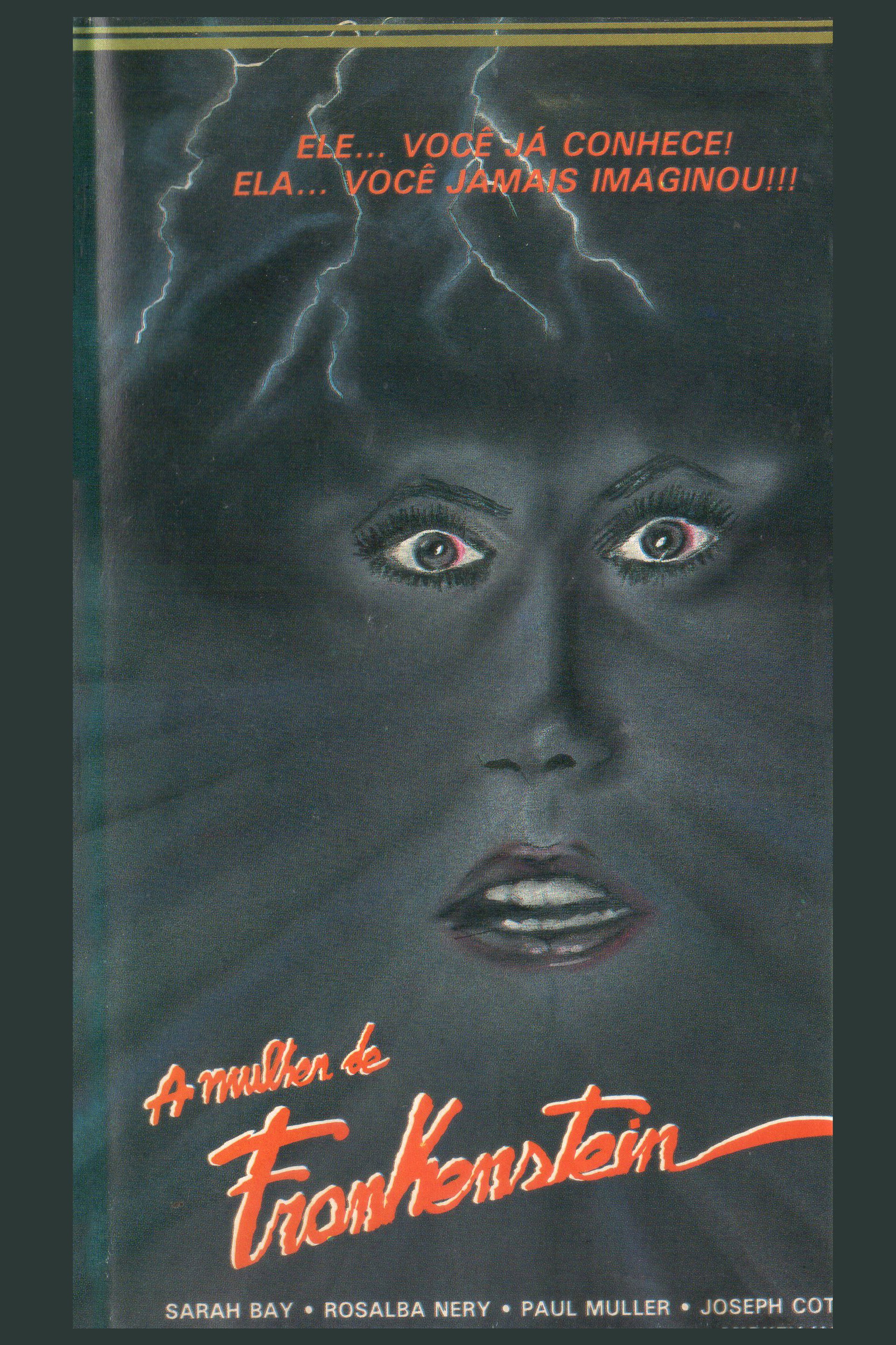 A Mulher de Frankenstein