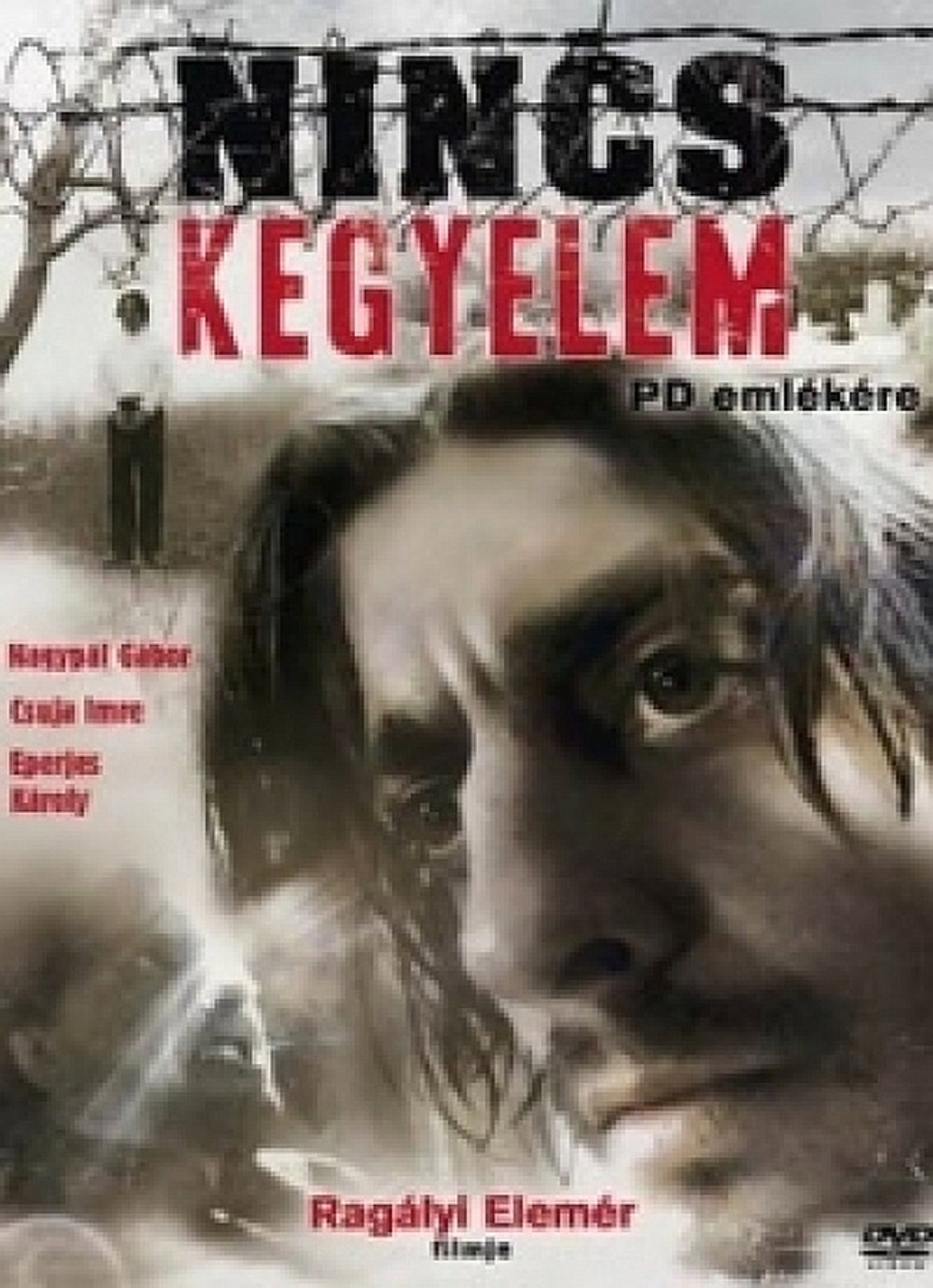 Nincs kegyelem