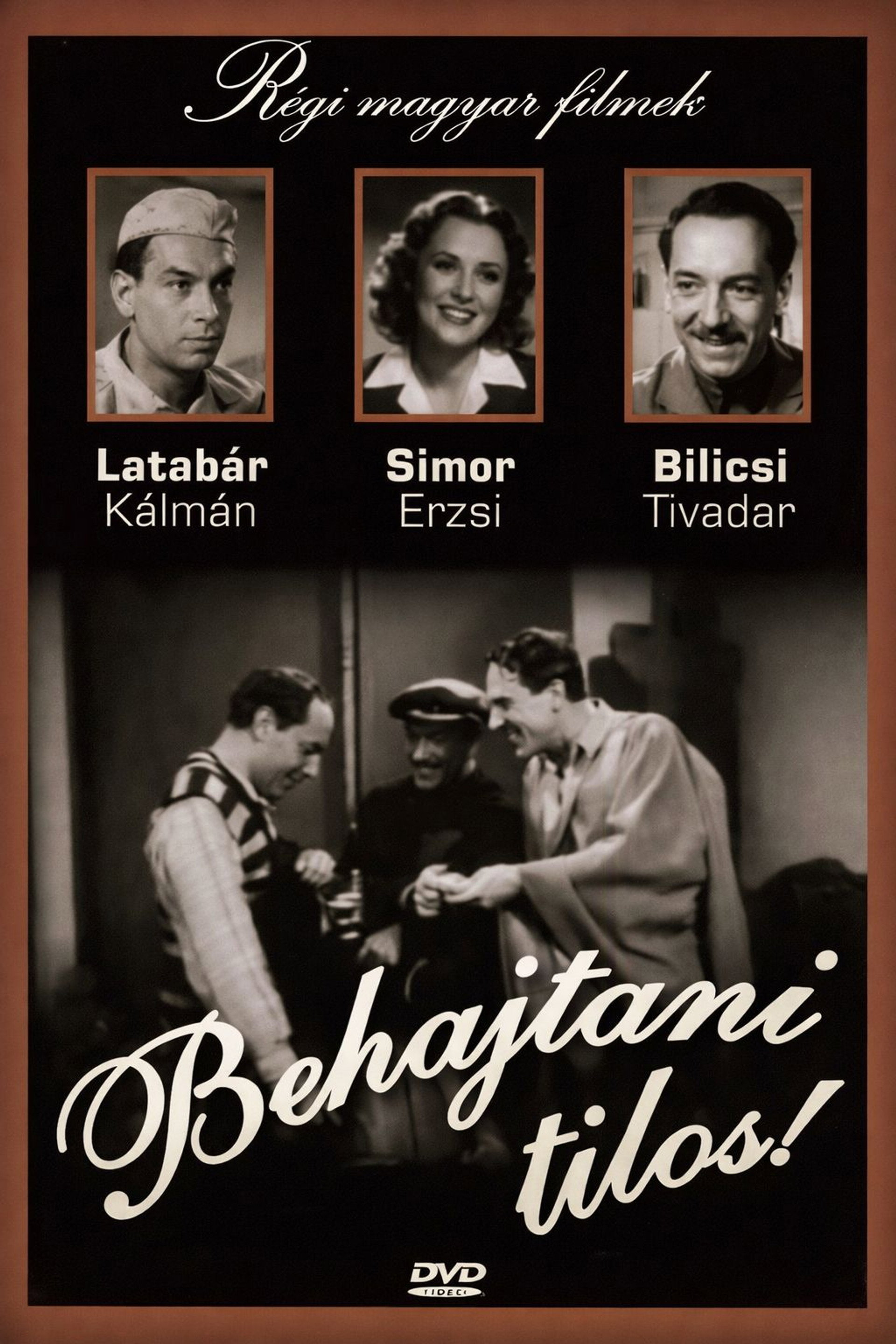 Behajtani tilos