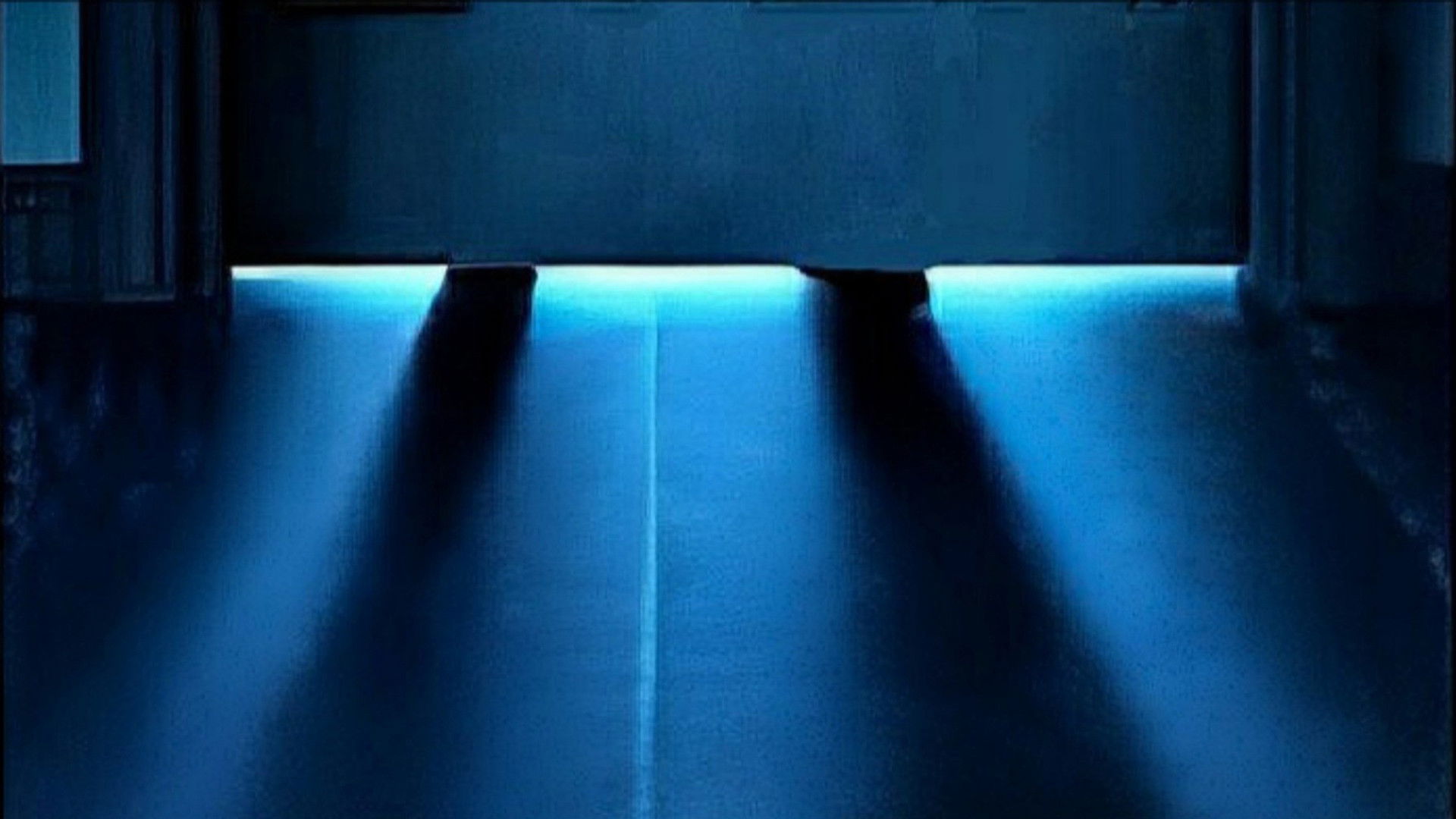 Los peores compañeros de casa del mundo