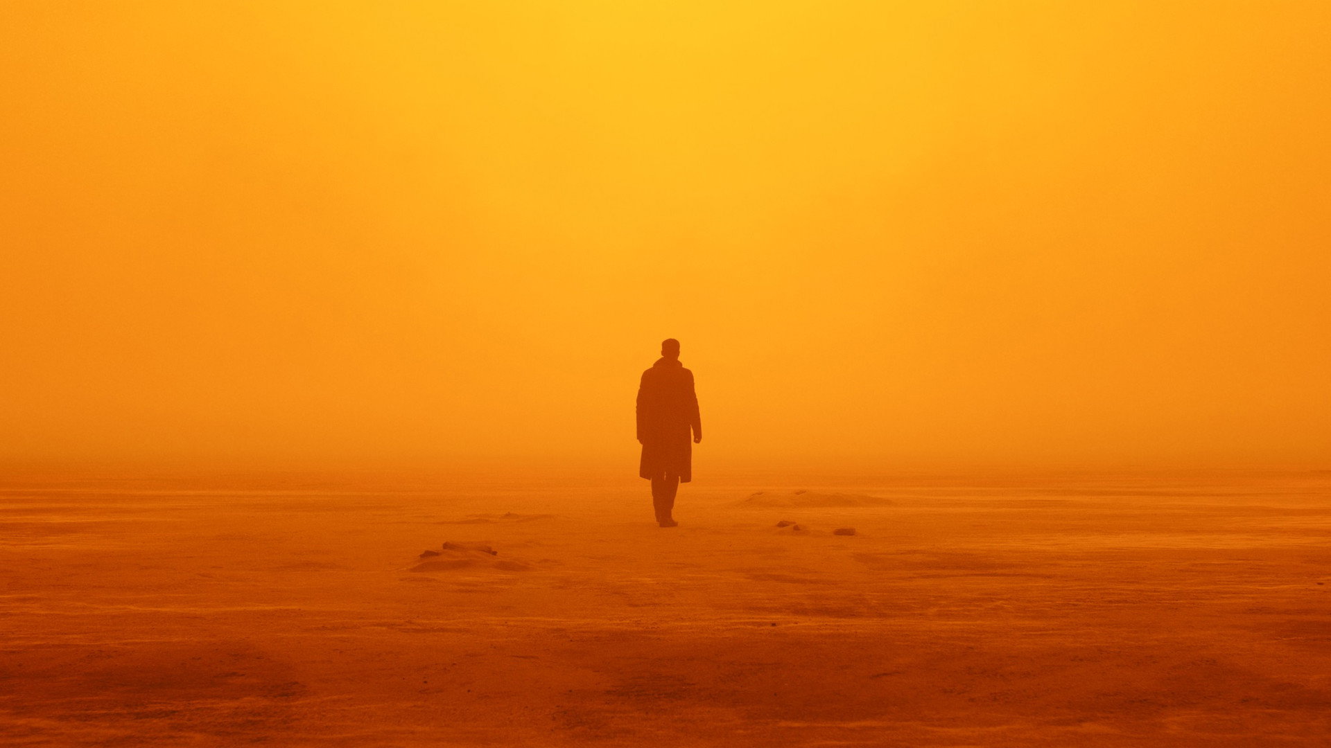 Blade Runner 2049 (2017) - color palette reference - frame 3