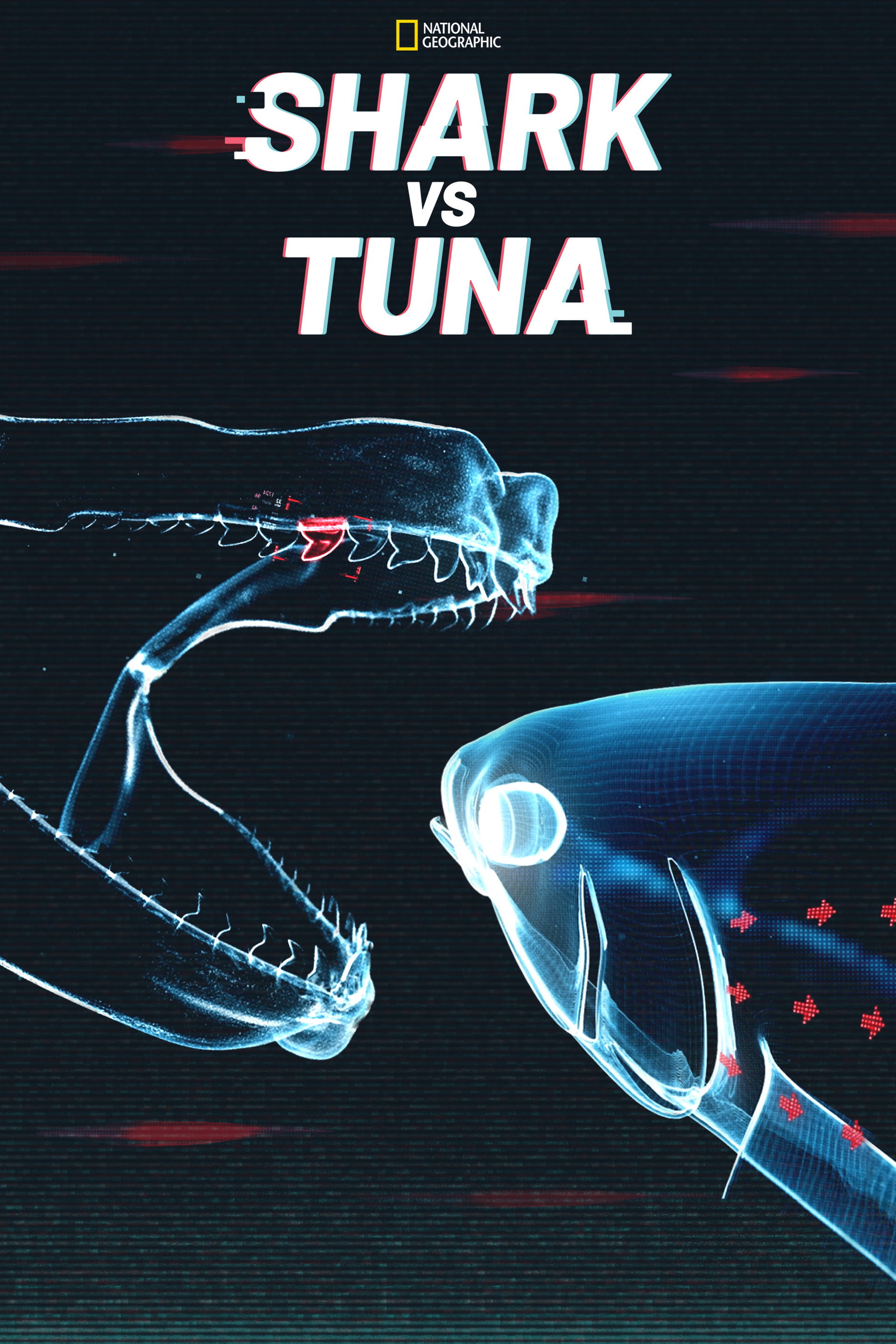 Hai vs. Thunfisch
