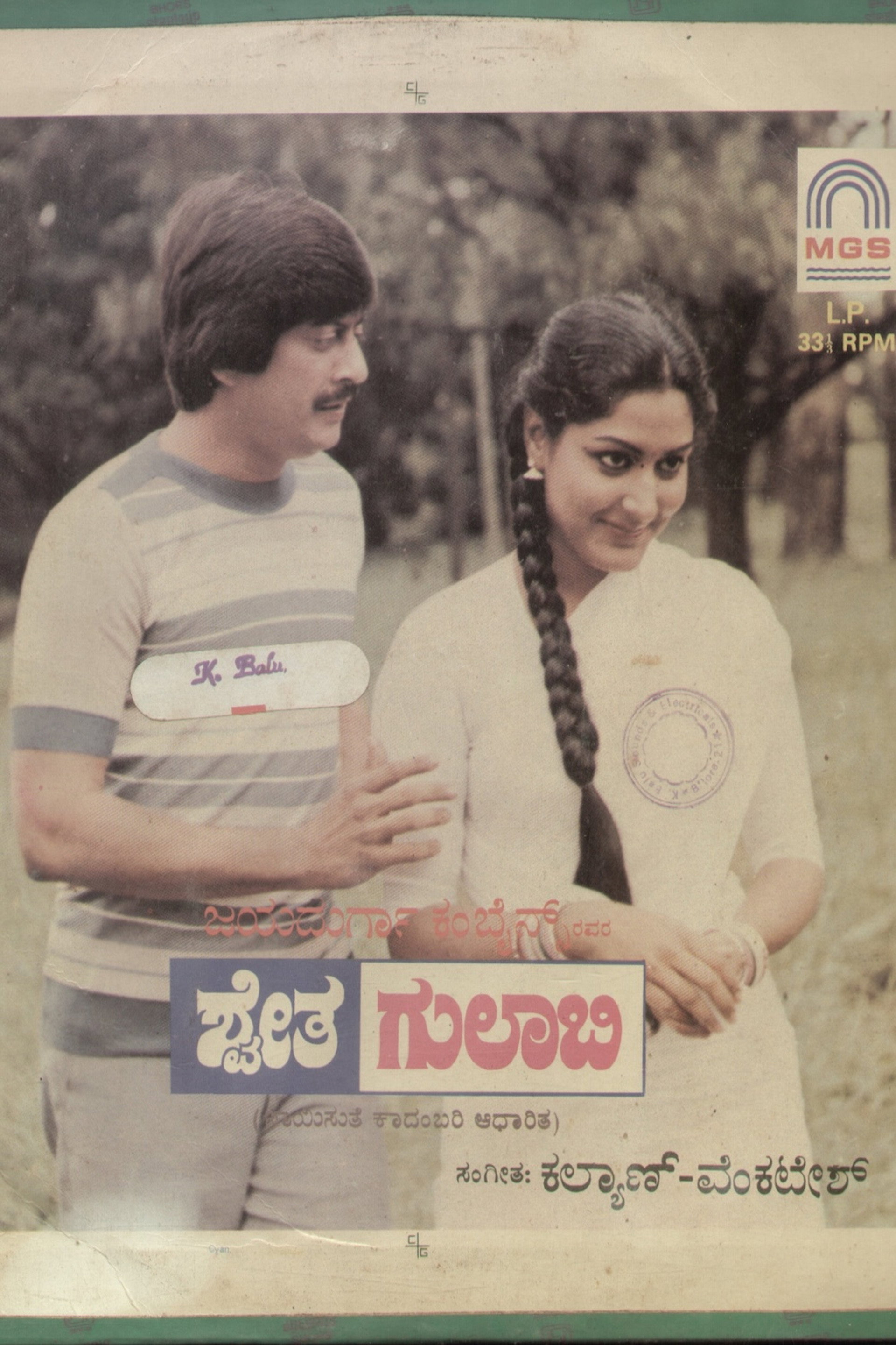 ಶ್ವೇತ ಗುಲಾಬಿ