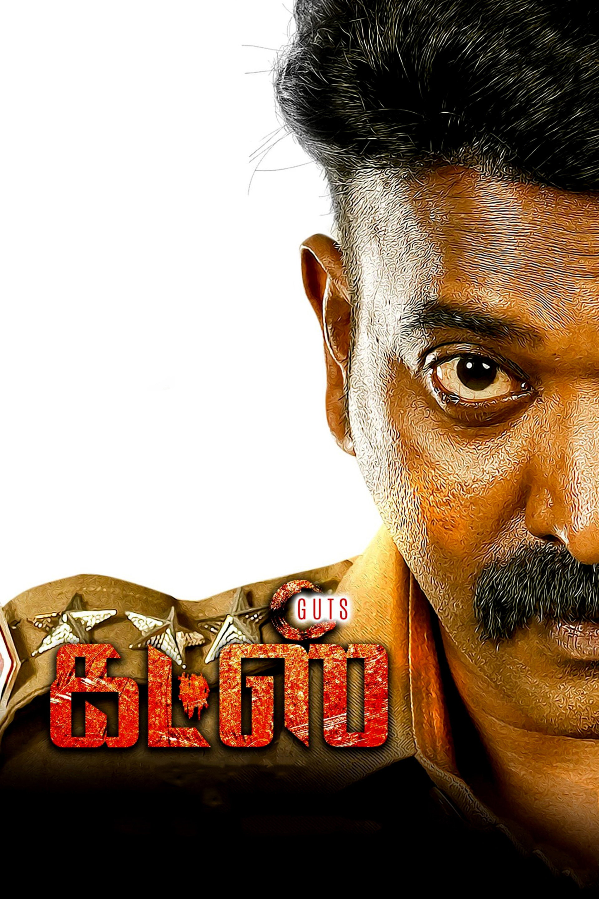 கட்ஸ்