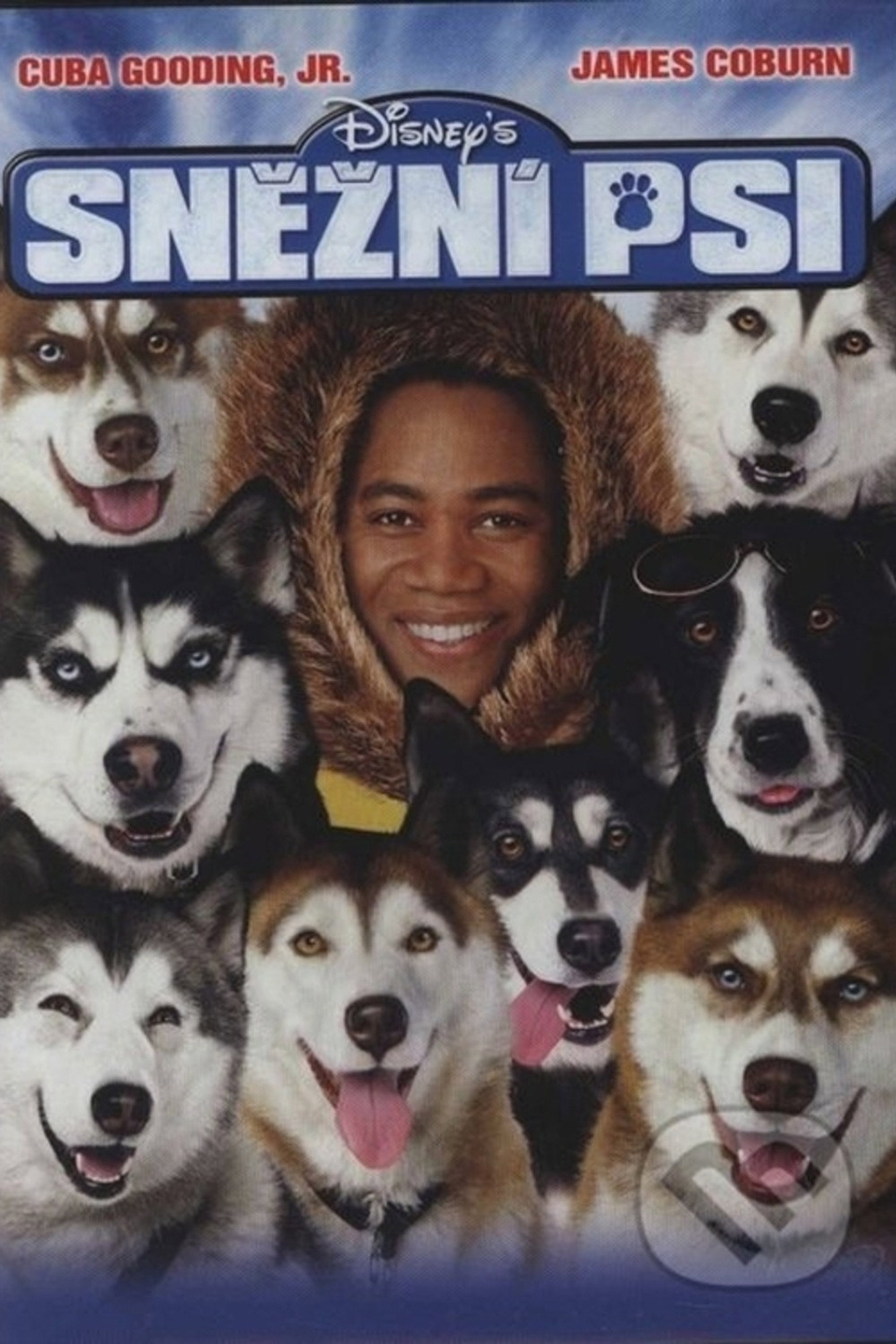 Sněžní psi