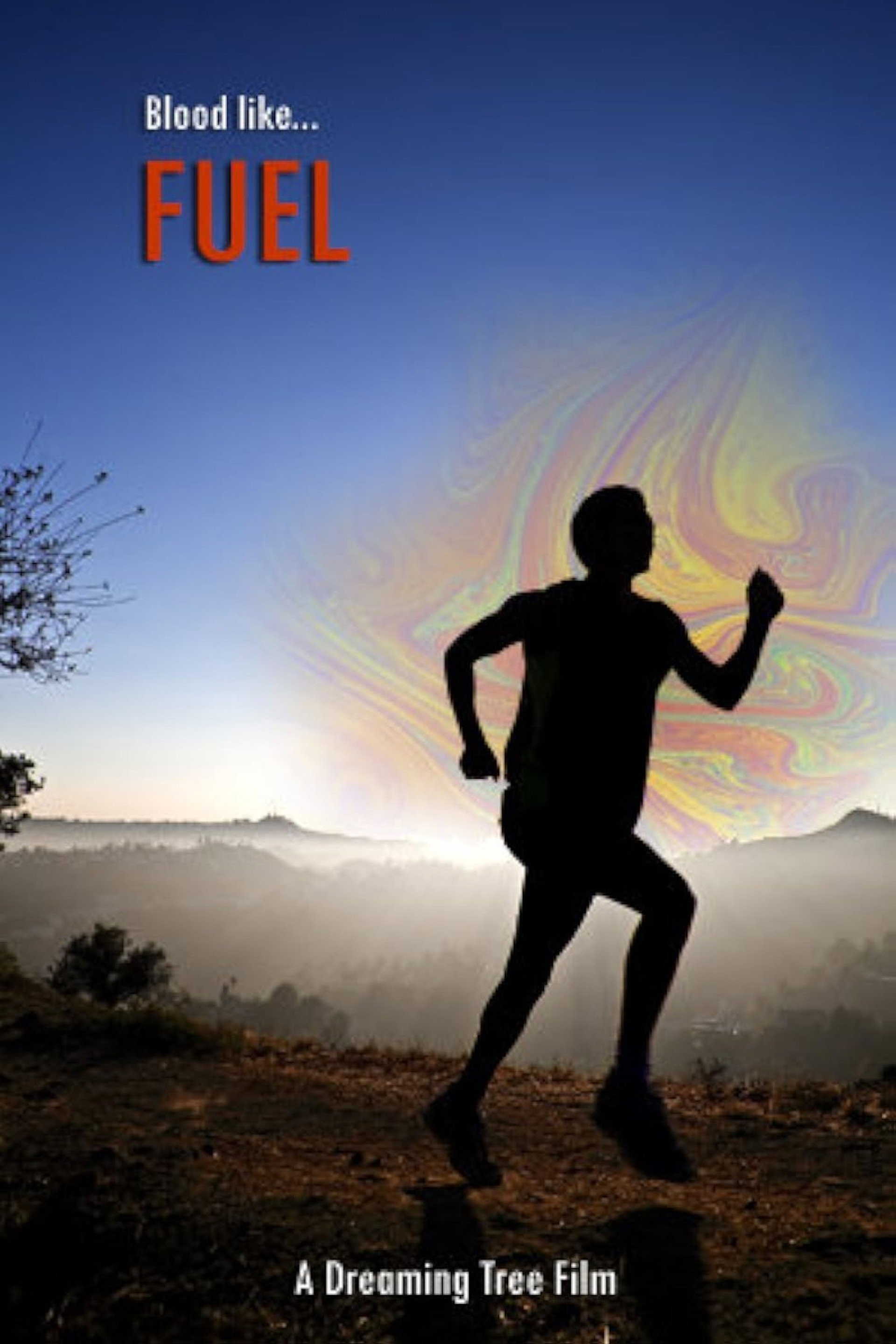 Fuel