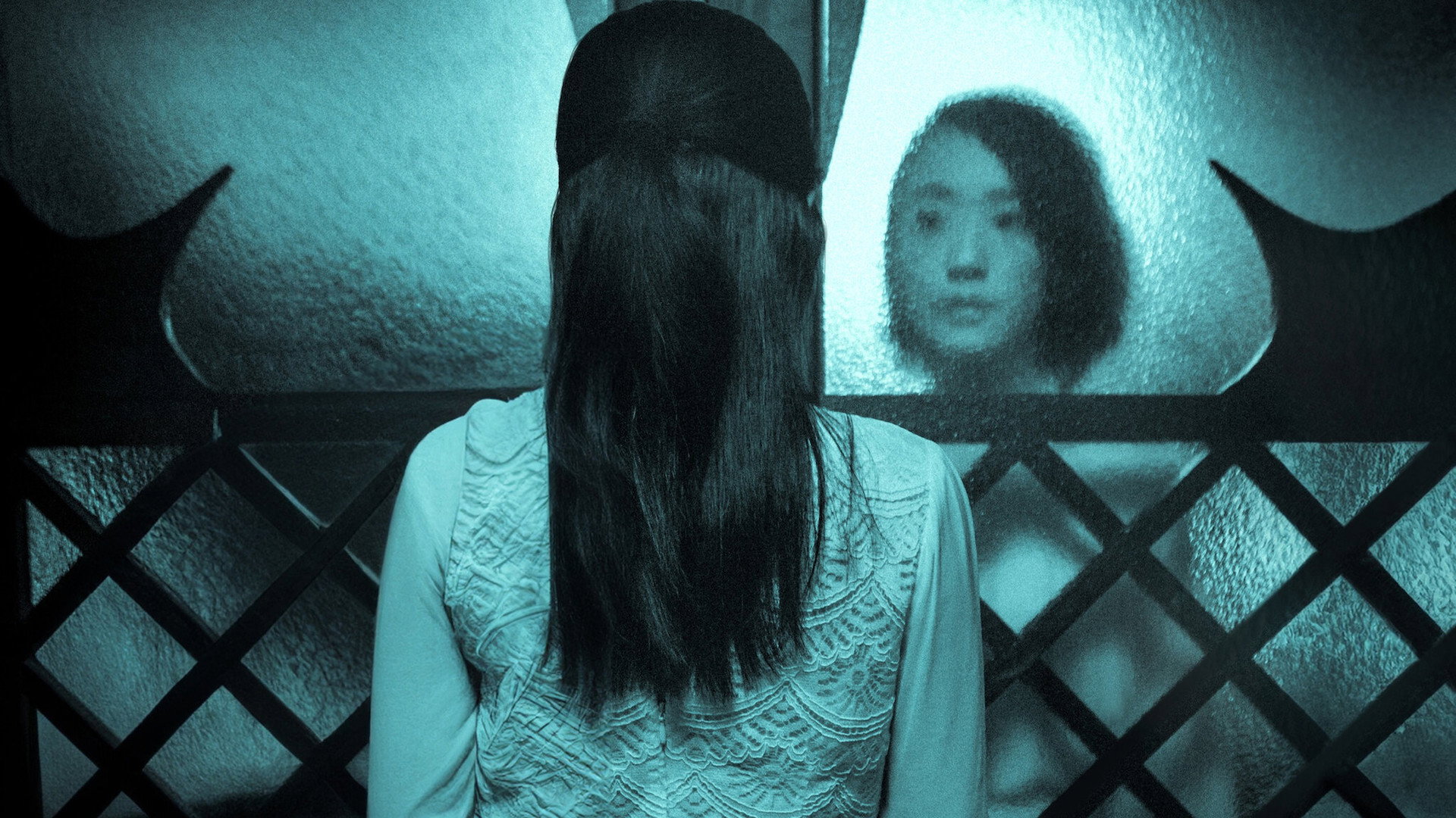 그림자의 집
