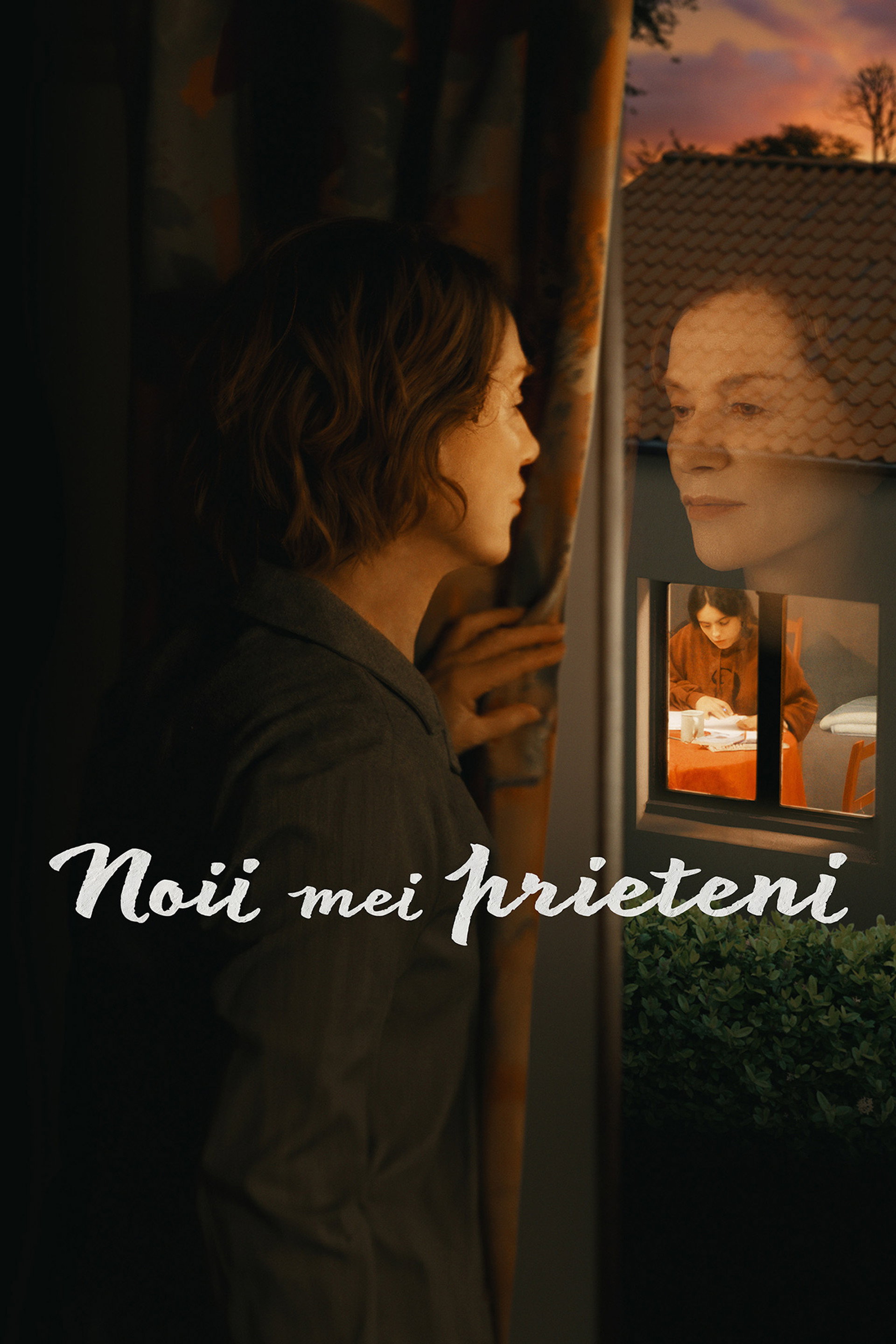 Noii mei prieteni